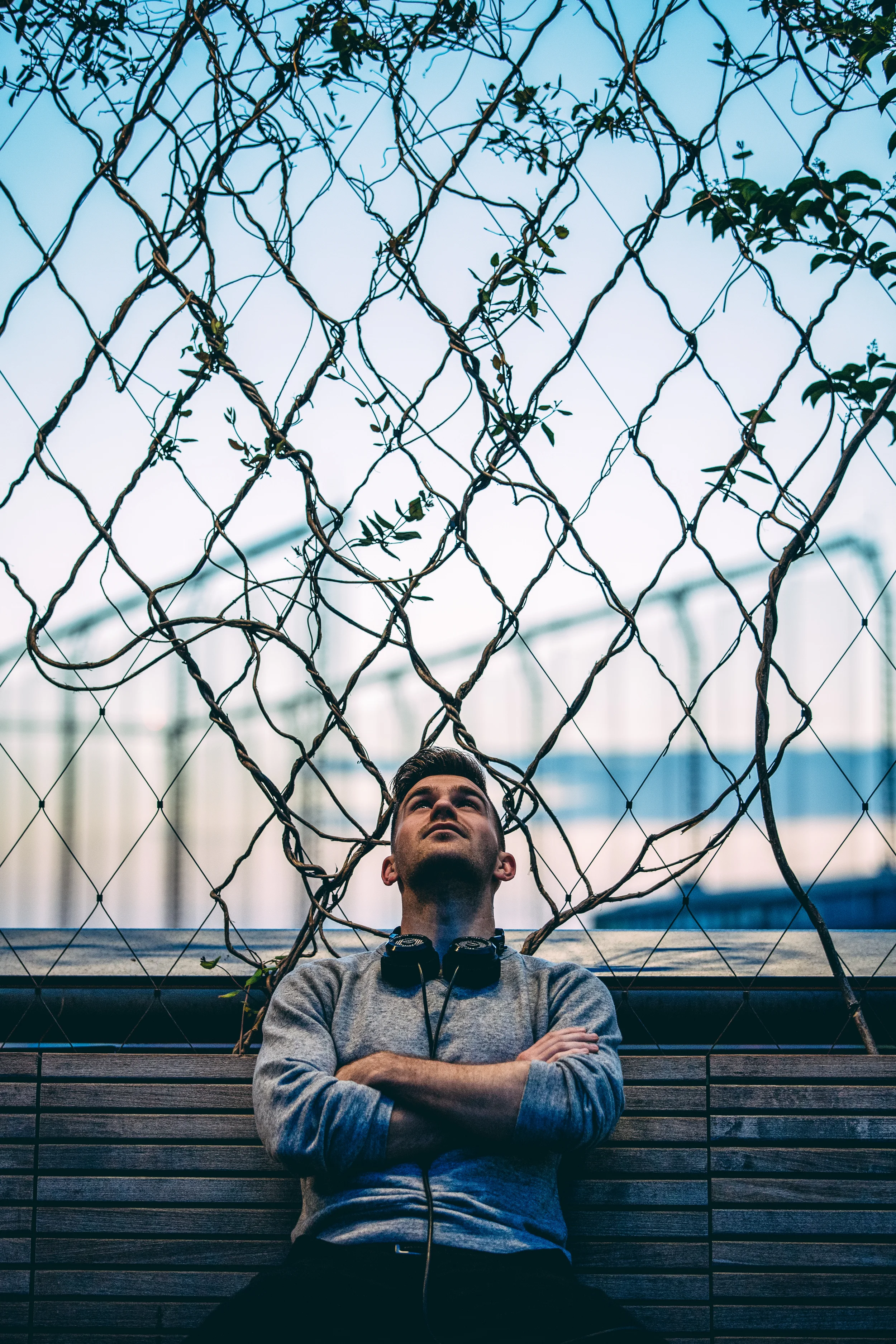 Birocratic