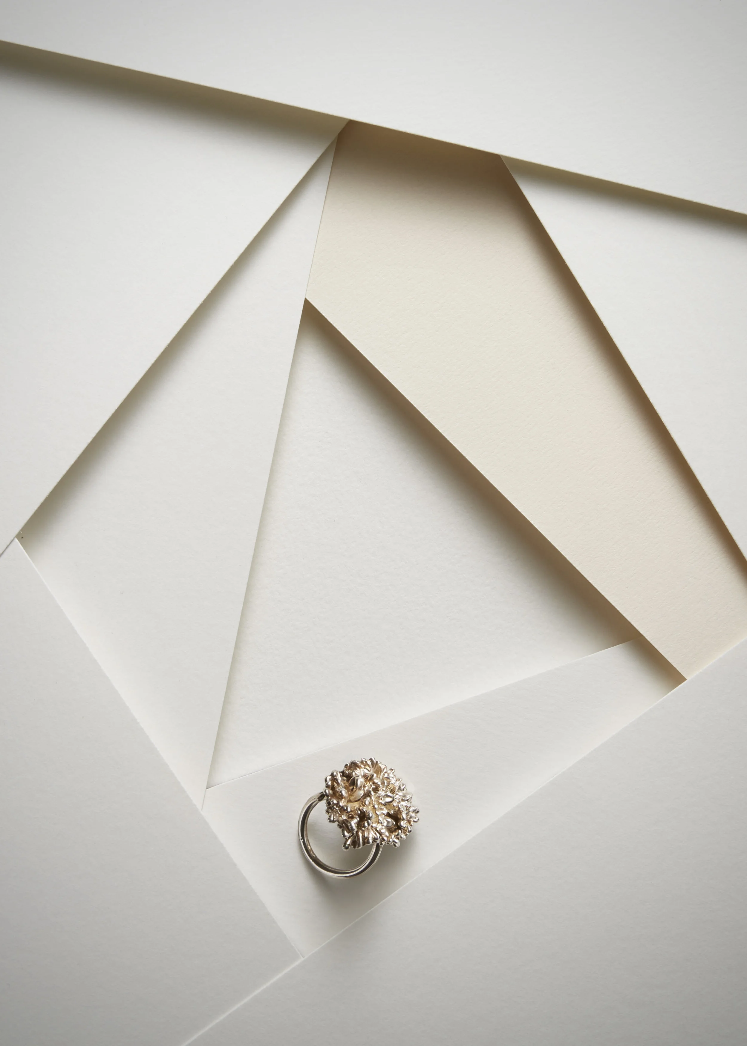 Mickie_Clark-sethiversonphoto_ringonpaper.jpg