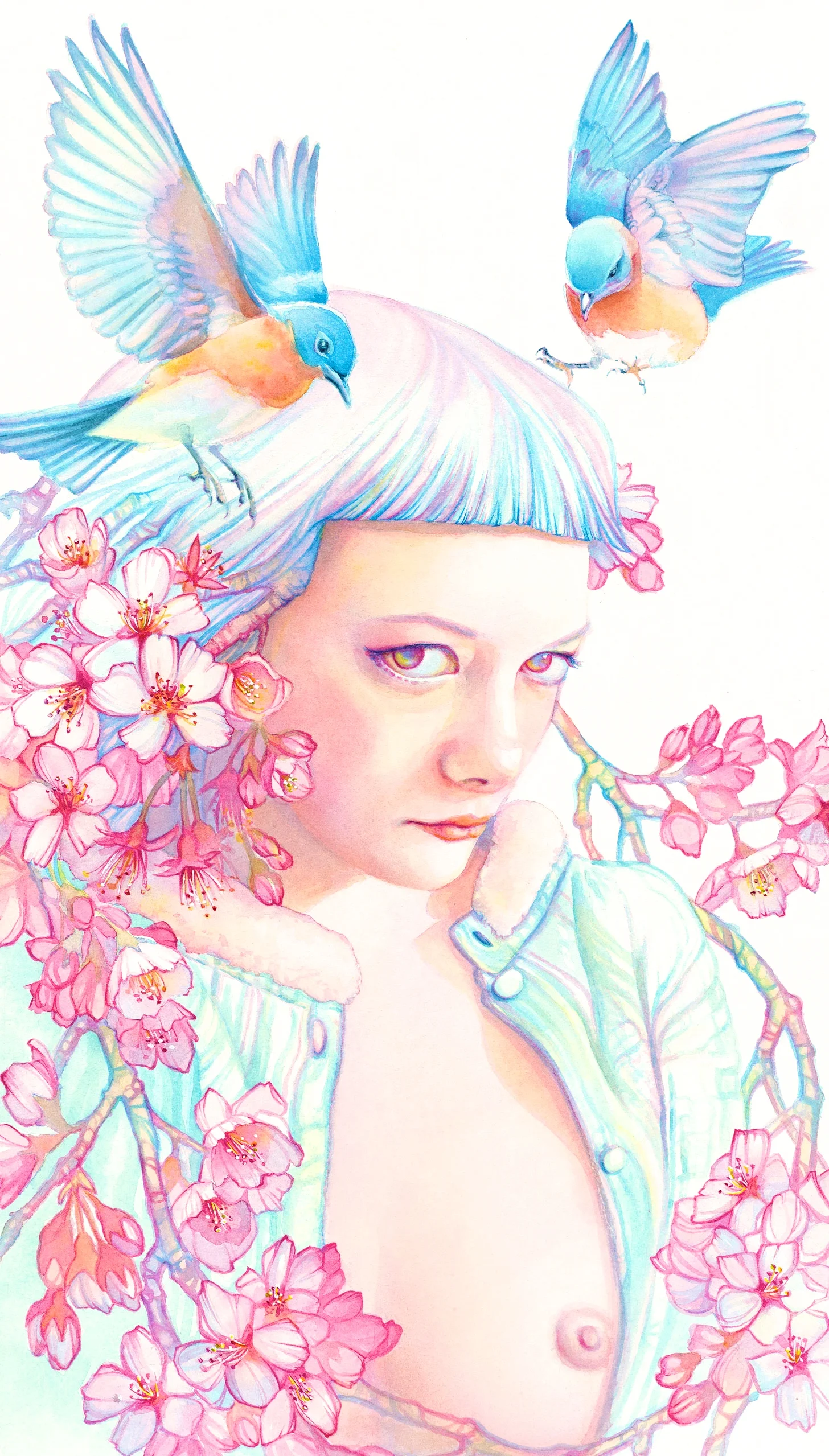 Sakura copy 3.jpg