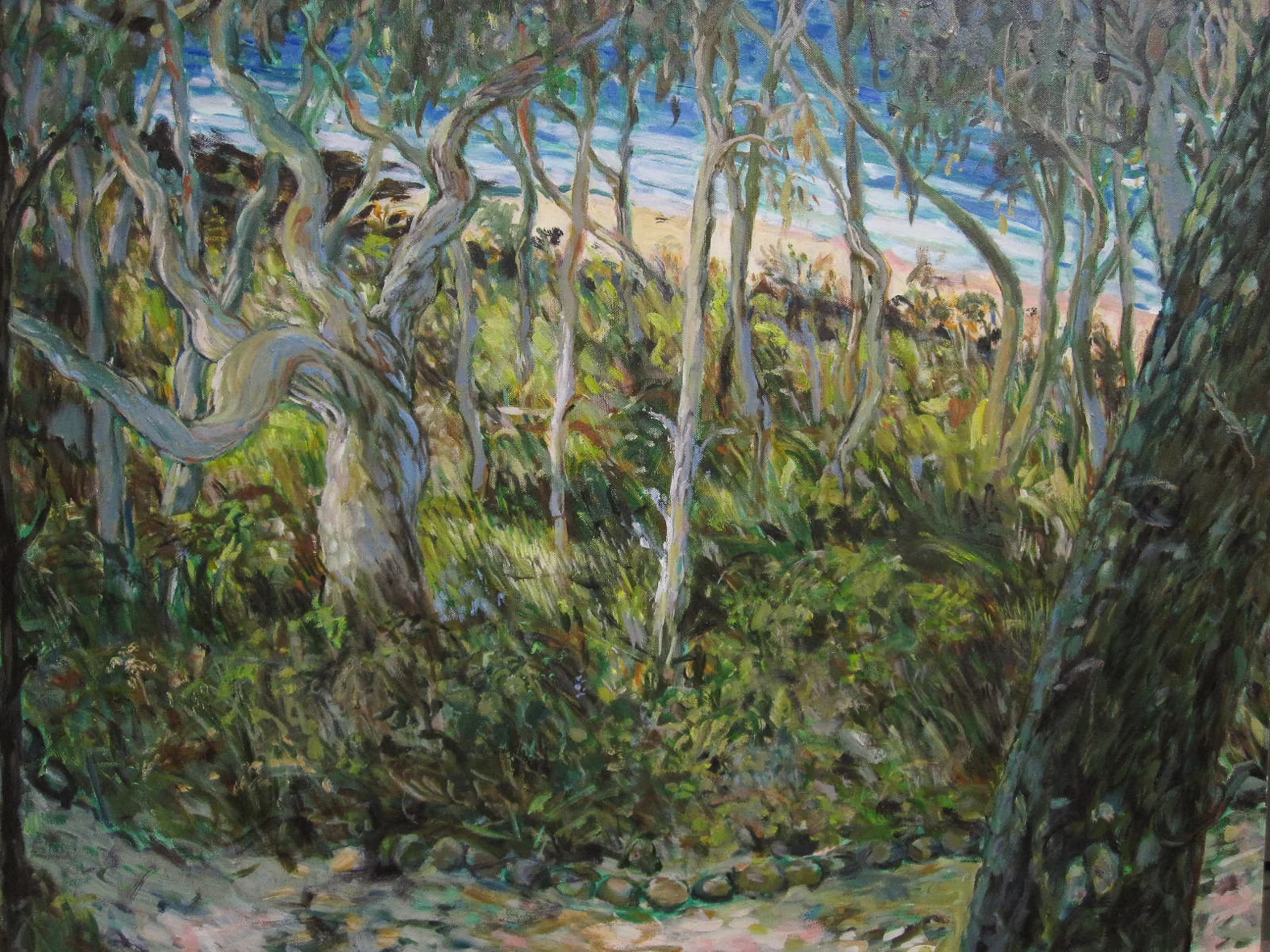 Ti-Tree Bay Noosa Heads 2014 oil on canvas 76.2cms x 91.44cms (unframed) $1300 SOLD