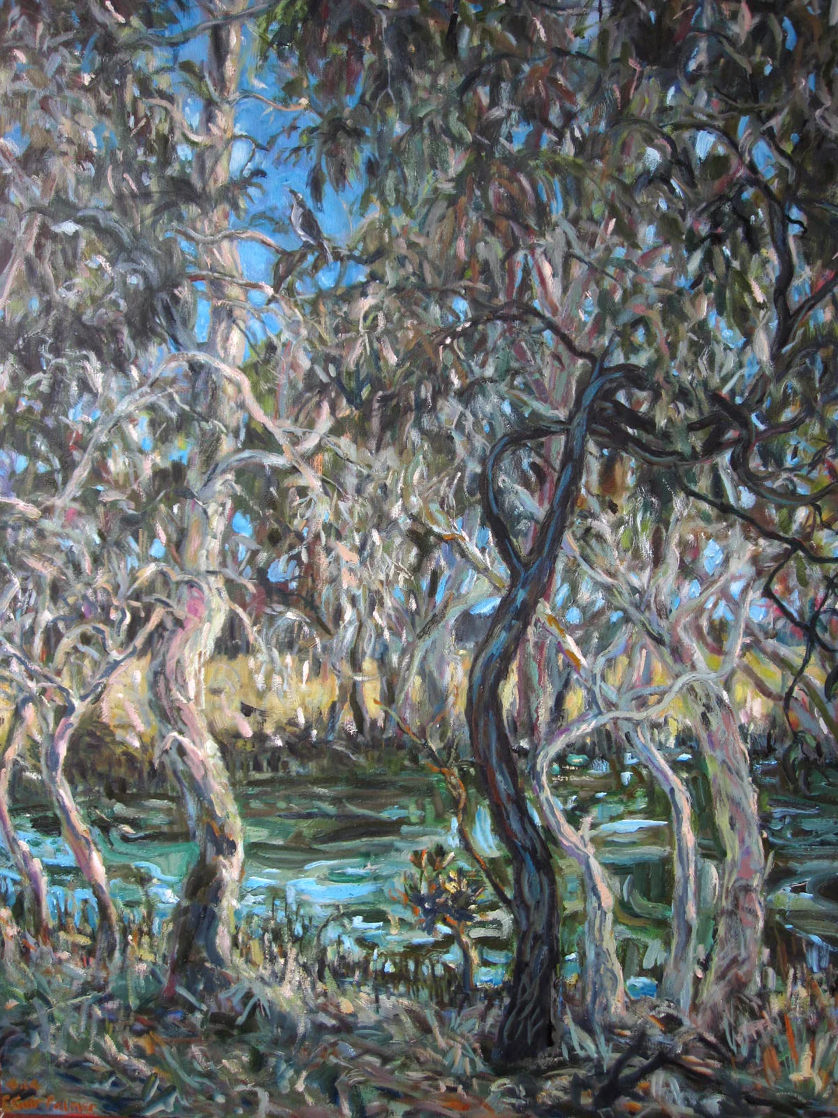 Weyba Waterhole 2014 oil on canvas 91cms x 61cms (unframed) $960 