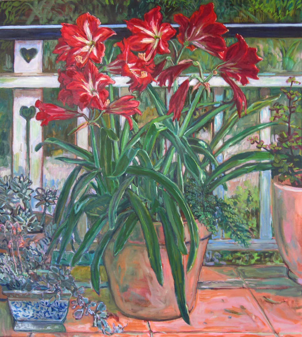 Bob's Hippeastrums 2014 oil on canvas 84cms x 74cms (unframed) $1950 