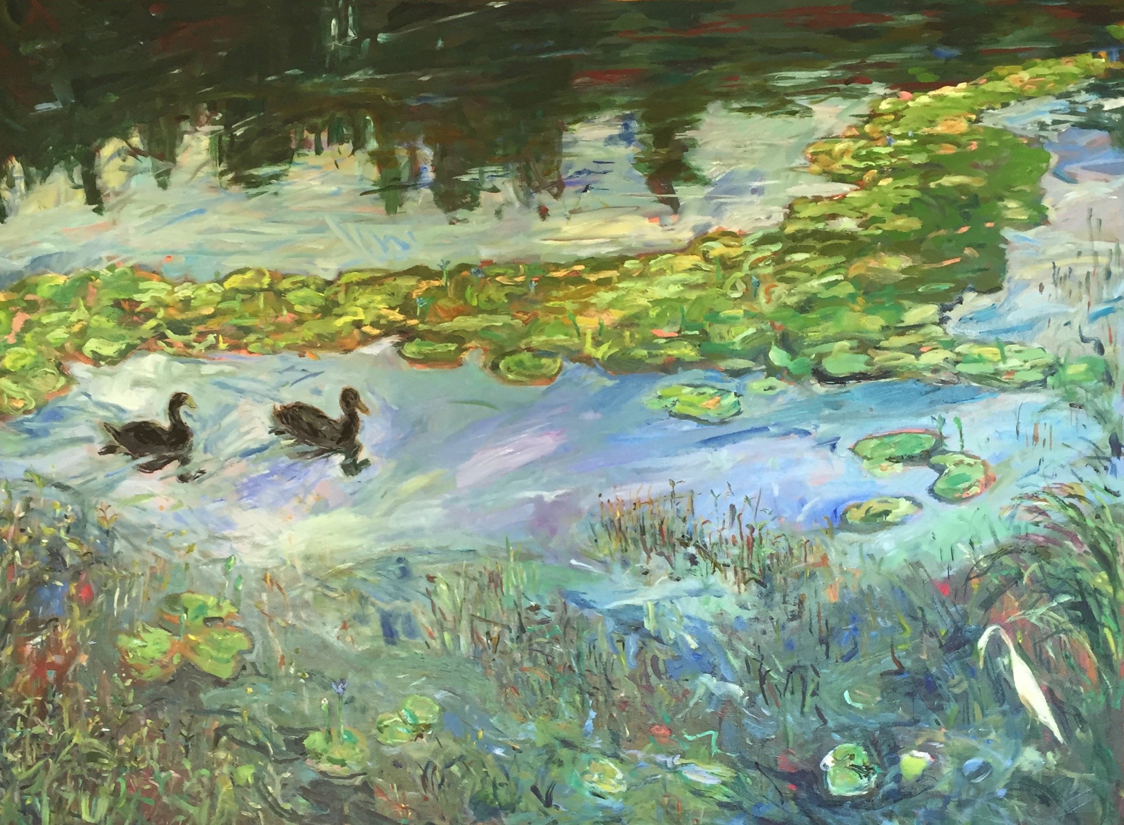 Two black ducks with waterlilies 2015 acrylic and oil on canvas 90 x 120cms (unframed) $3500