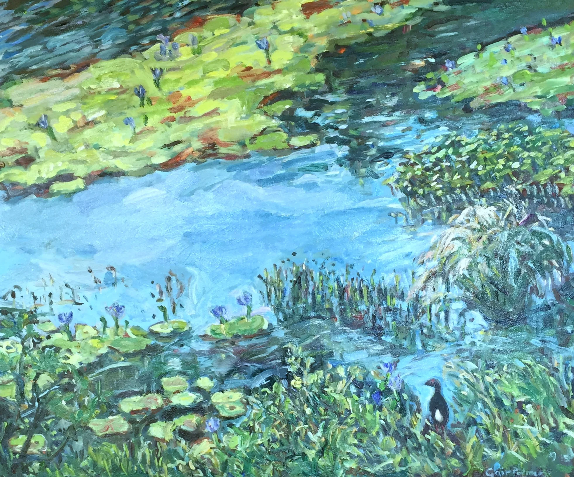 Lake Macdonald waterlilies and moorhen 2015 oil on canvas - en plein air 51 x 61 cms (unframed) $750