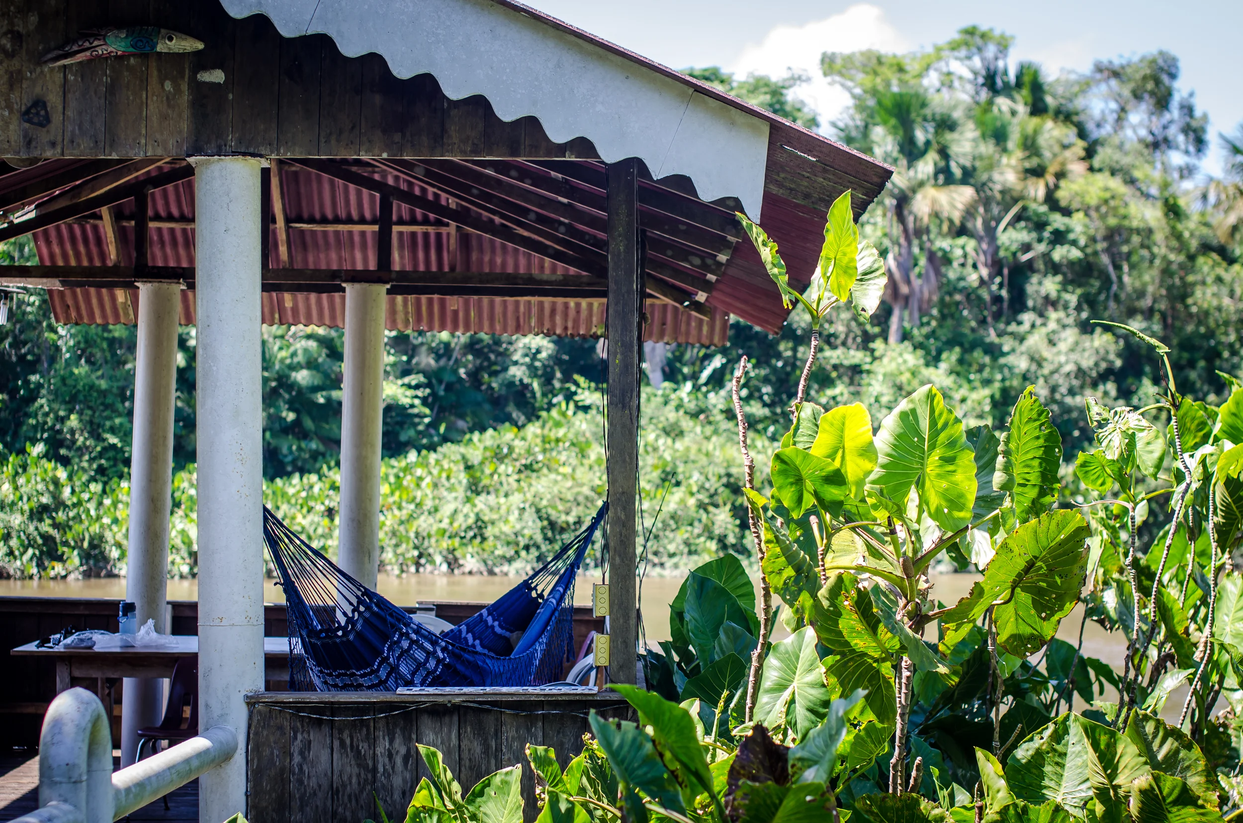 The dock on base, perfect napping place.