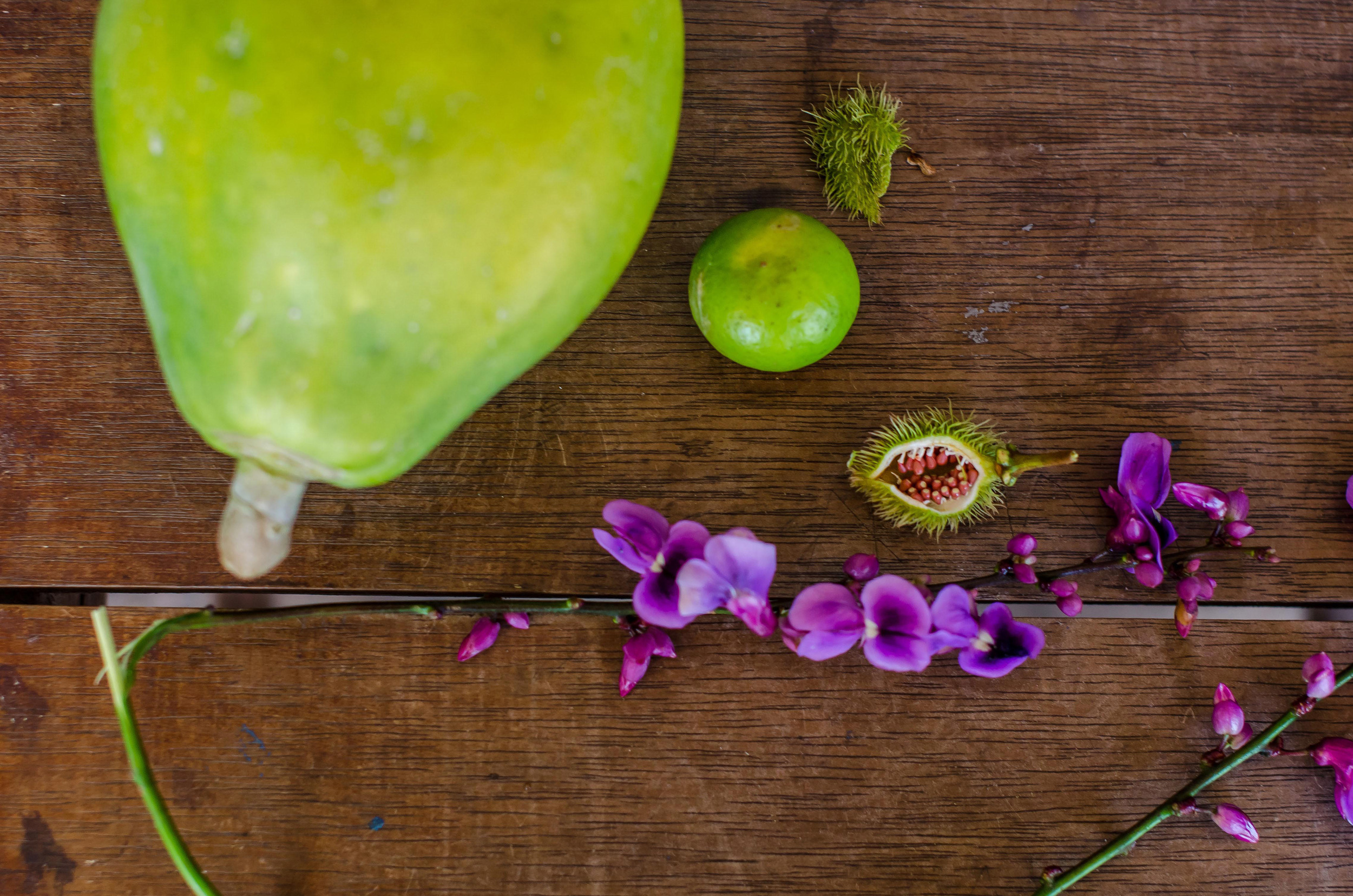 Wild papaya, lime, flowers, and urucum (the fuzzy-looking fruit). Native people used urucum to dye their faces bright red.