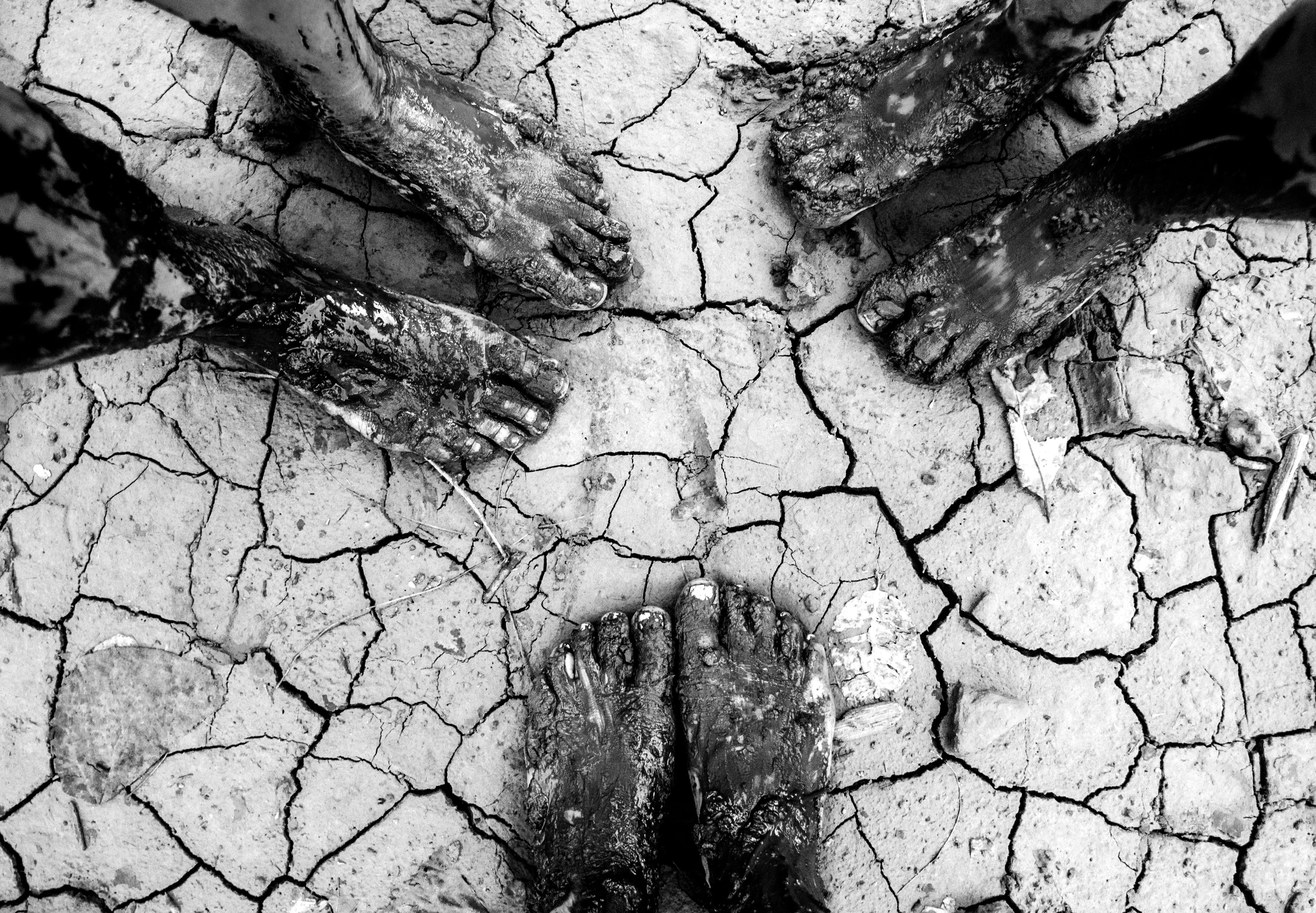 Barefoot hiking to see wild Hawaiian cattle, of course.