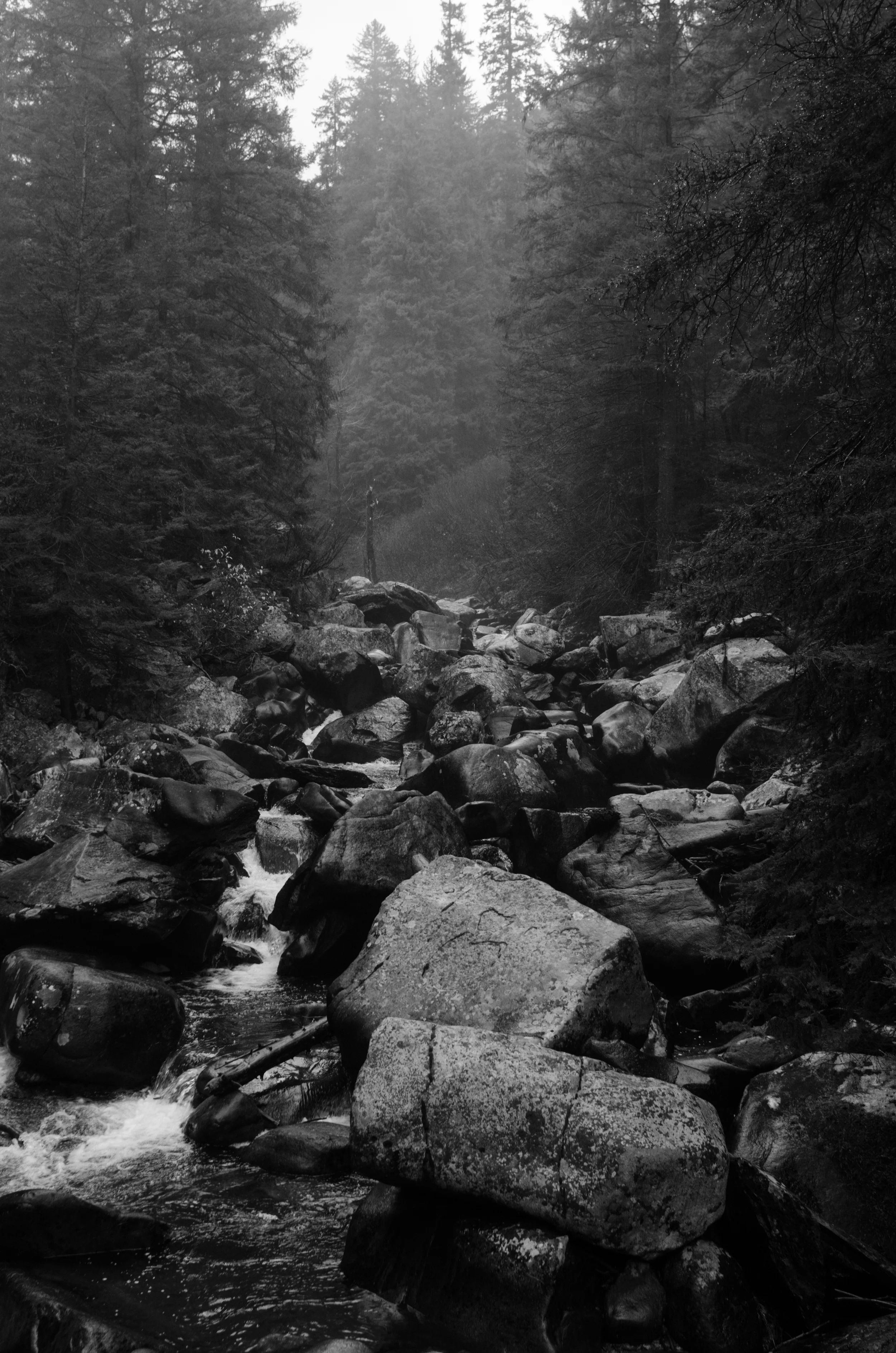 Back in Idaho, home. Our first time in the mountains in over six months and we were so in awe.