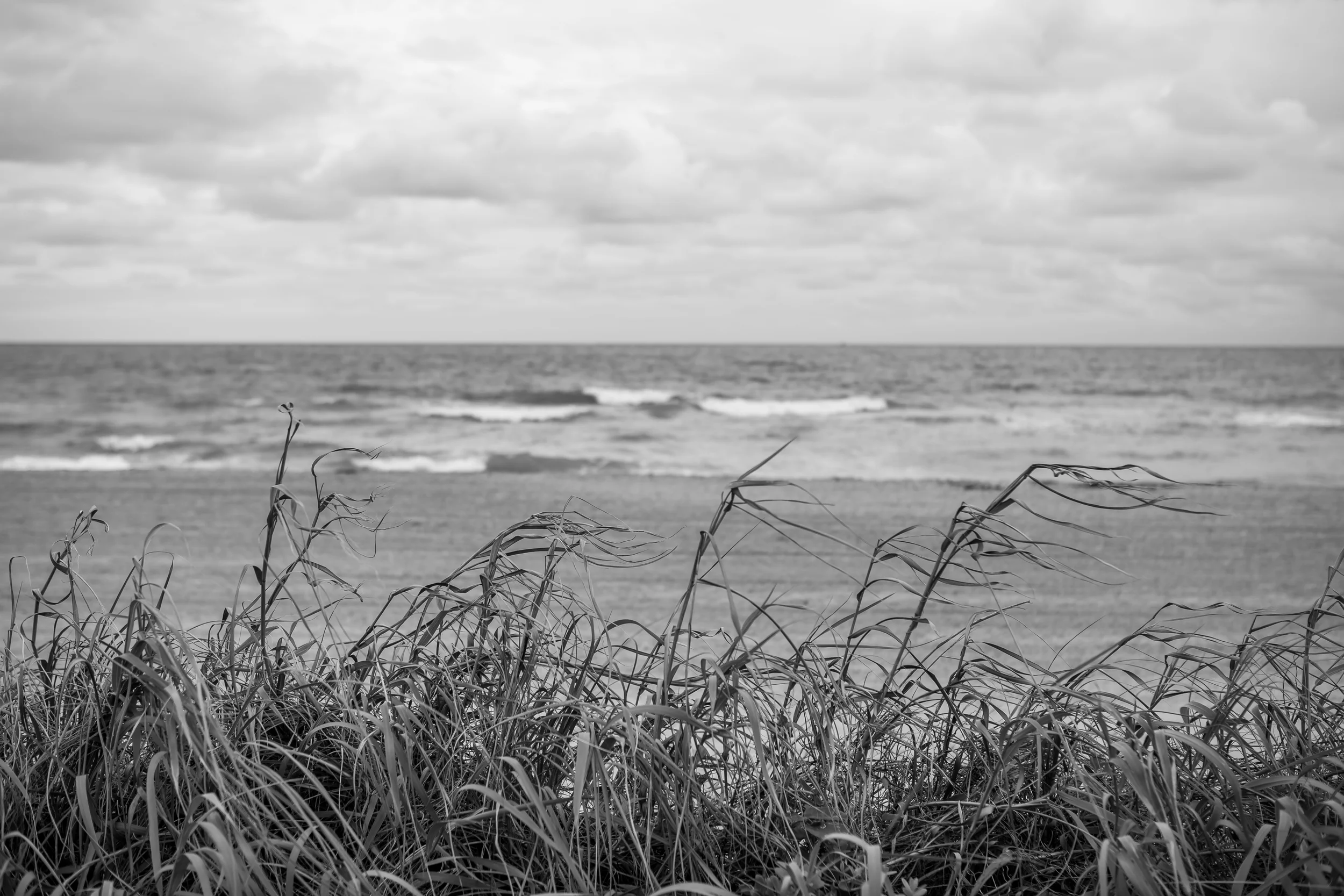Reaching the Floridian coast was quite the milestone- one 3,000 miles in the making!