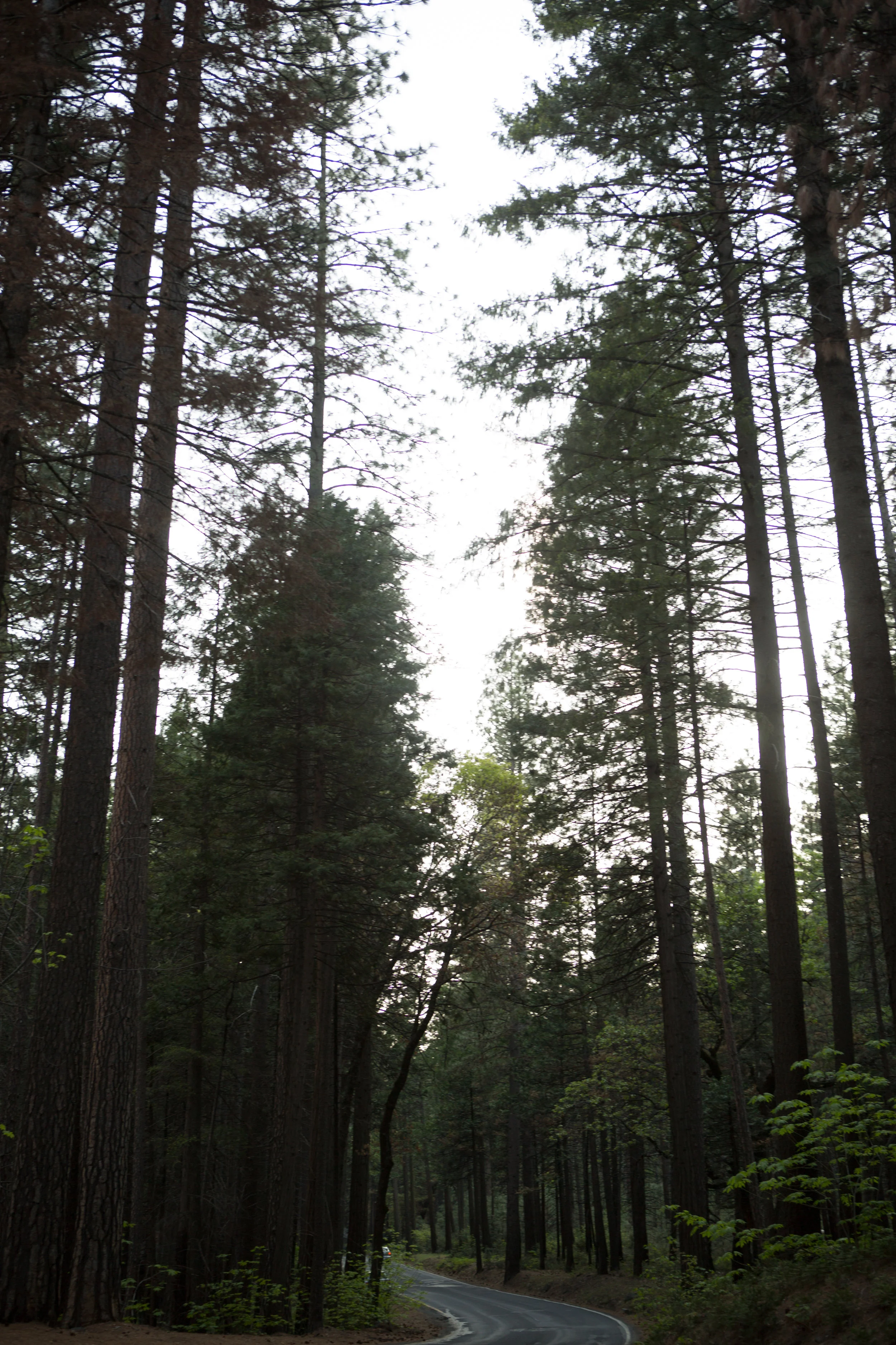 Yosemite.