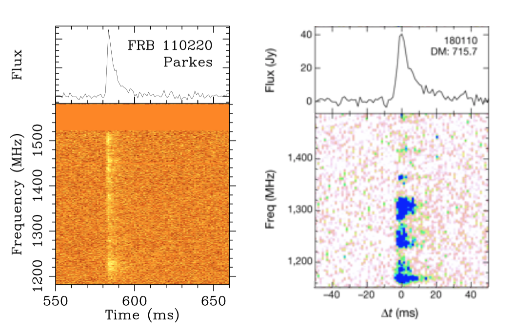 Comparison of the spectrum (emission across the bandwidth) from FRB 110220 detected with Parkes (left) and FRB 180110 detected with ASKAP (left). The brighter, lower DM sample of FRBs from ASKAP show more modulation across the observing bandwidth. FRB 180110 image modified from Shannon et al. (2018). Image credit: Emily Petroff.
