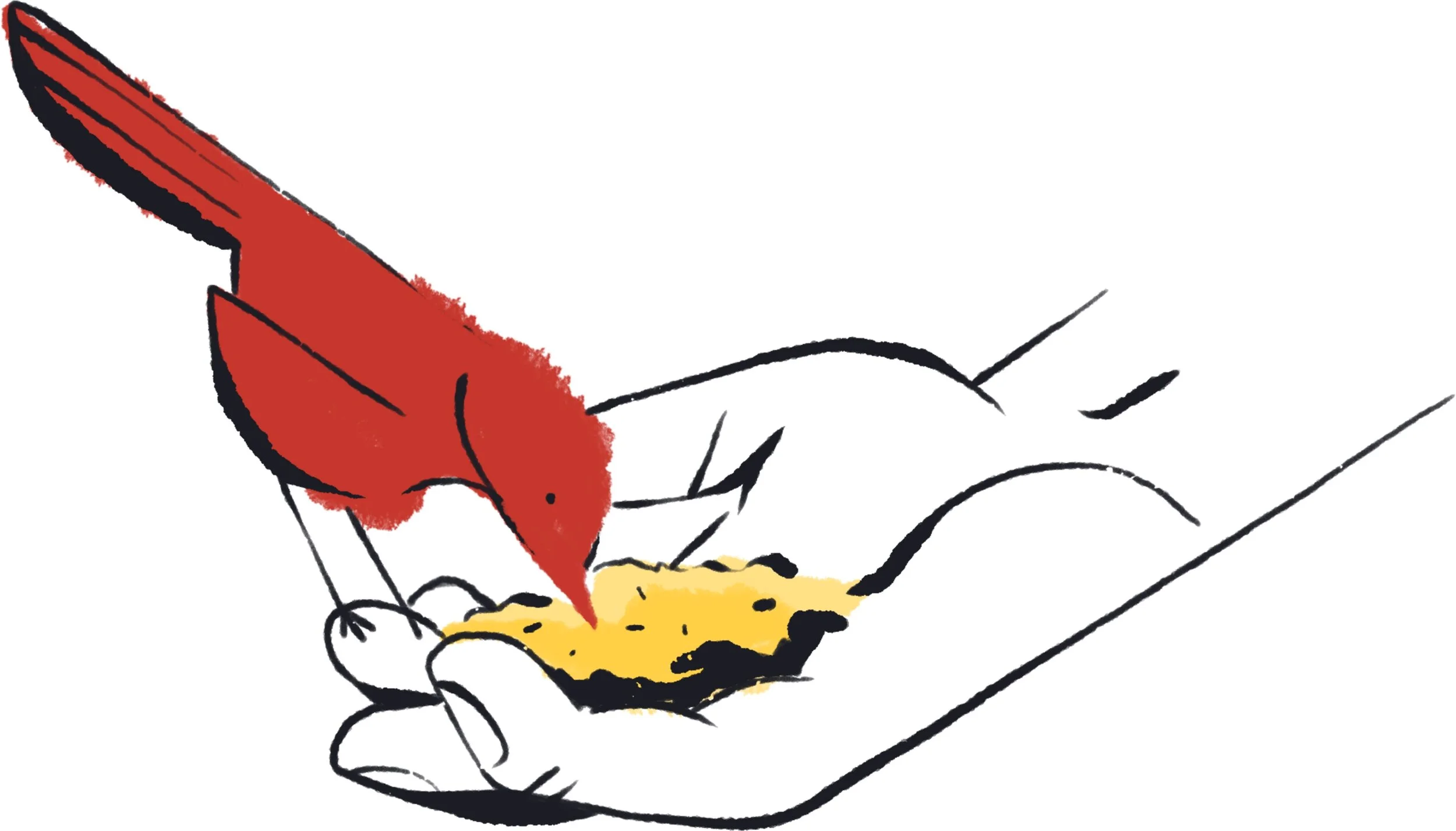birdfeeder@2x.jpg