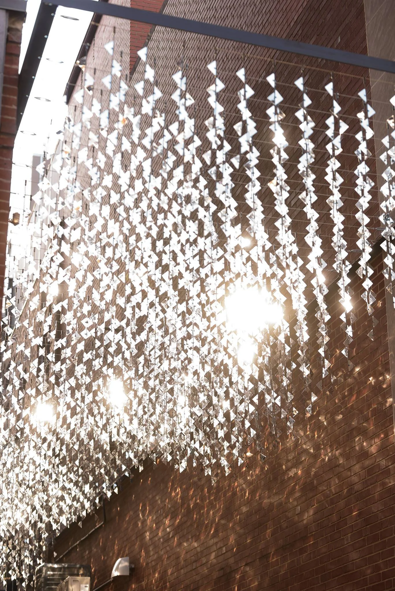 14125762_1128304043920526_3075451714413843902_o.jpg