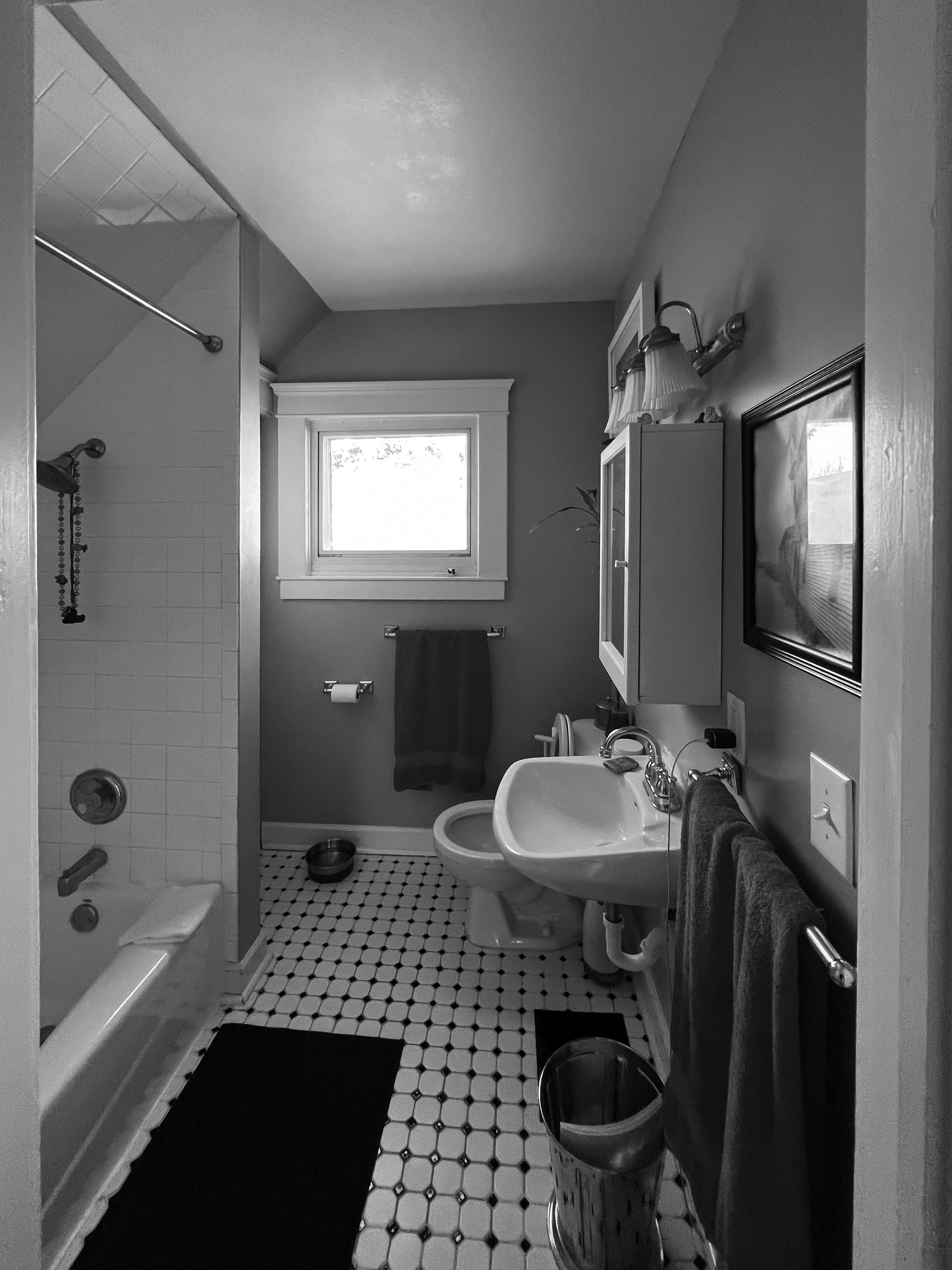 Hancock Bathroom Before.jpg