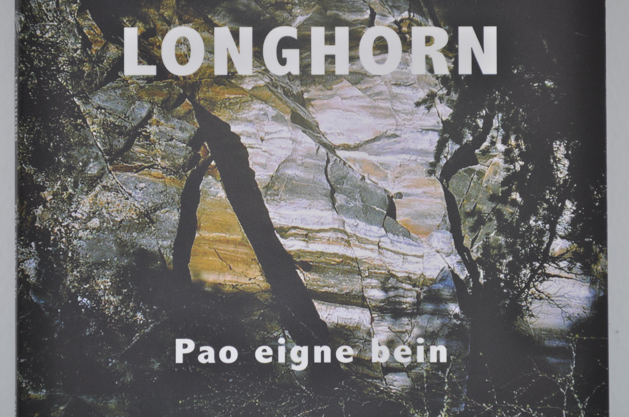 Coveret på den nye CDen til Longhorn. FOTO: Kristen Olav Grøttebø