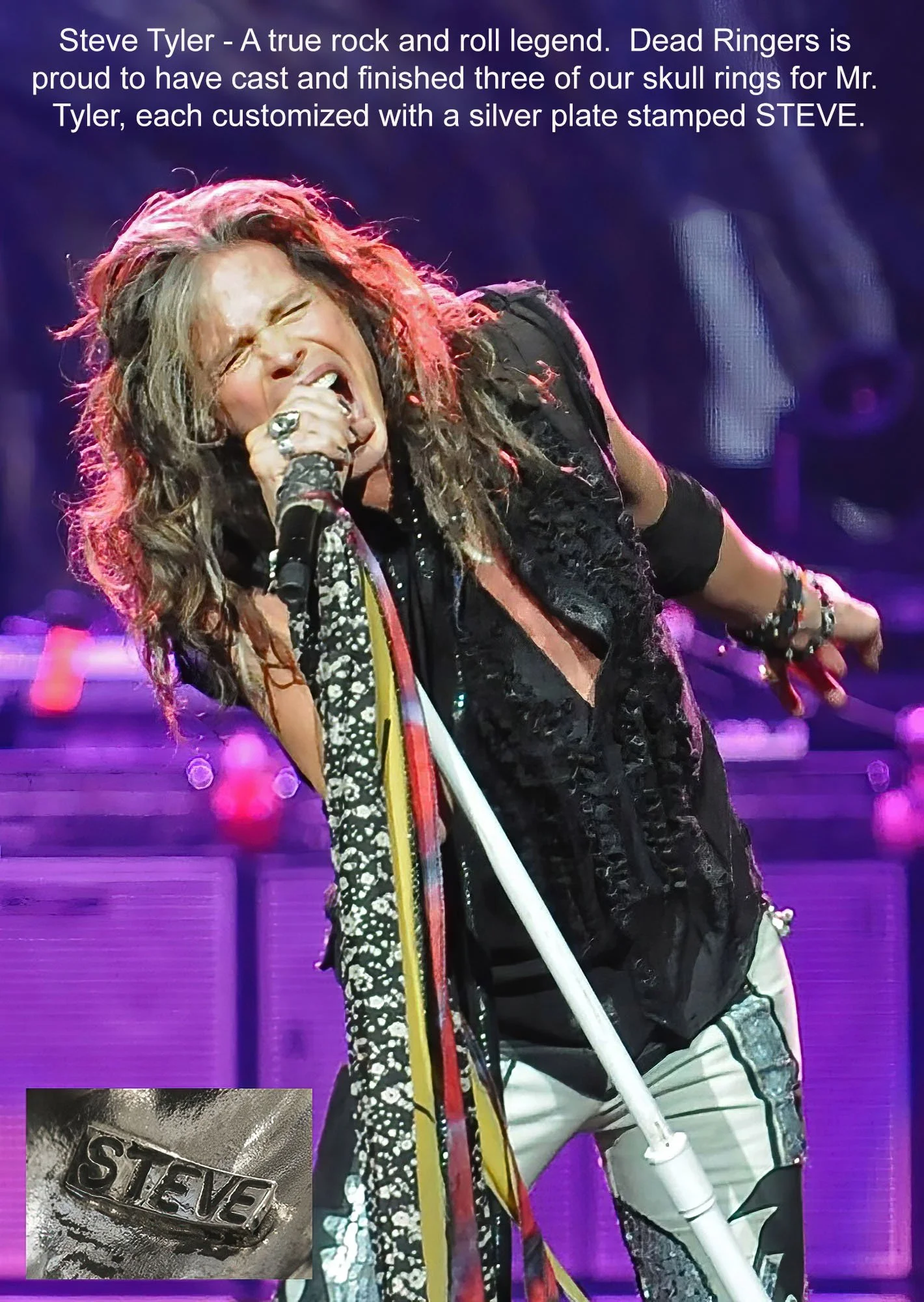 #3 Steve Tyler-DeNoise TEXT.jpg