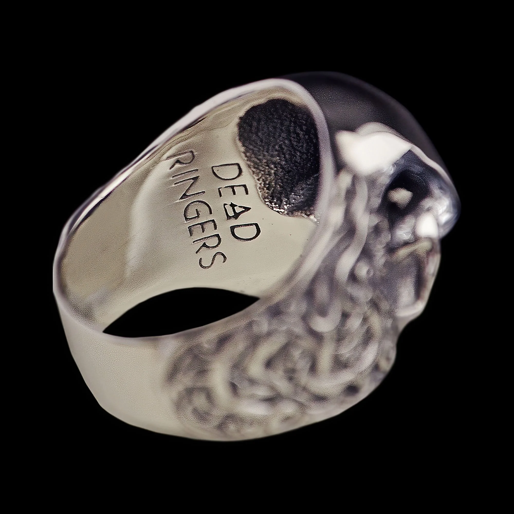 E V2 WEB-DeNoise.jpg