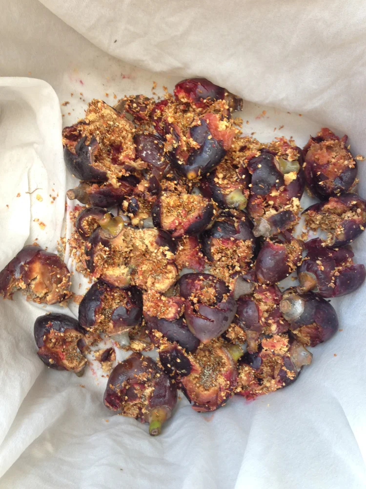 Emma Peters - Natural Dye -3.jpg