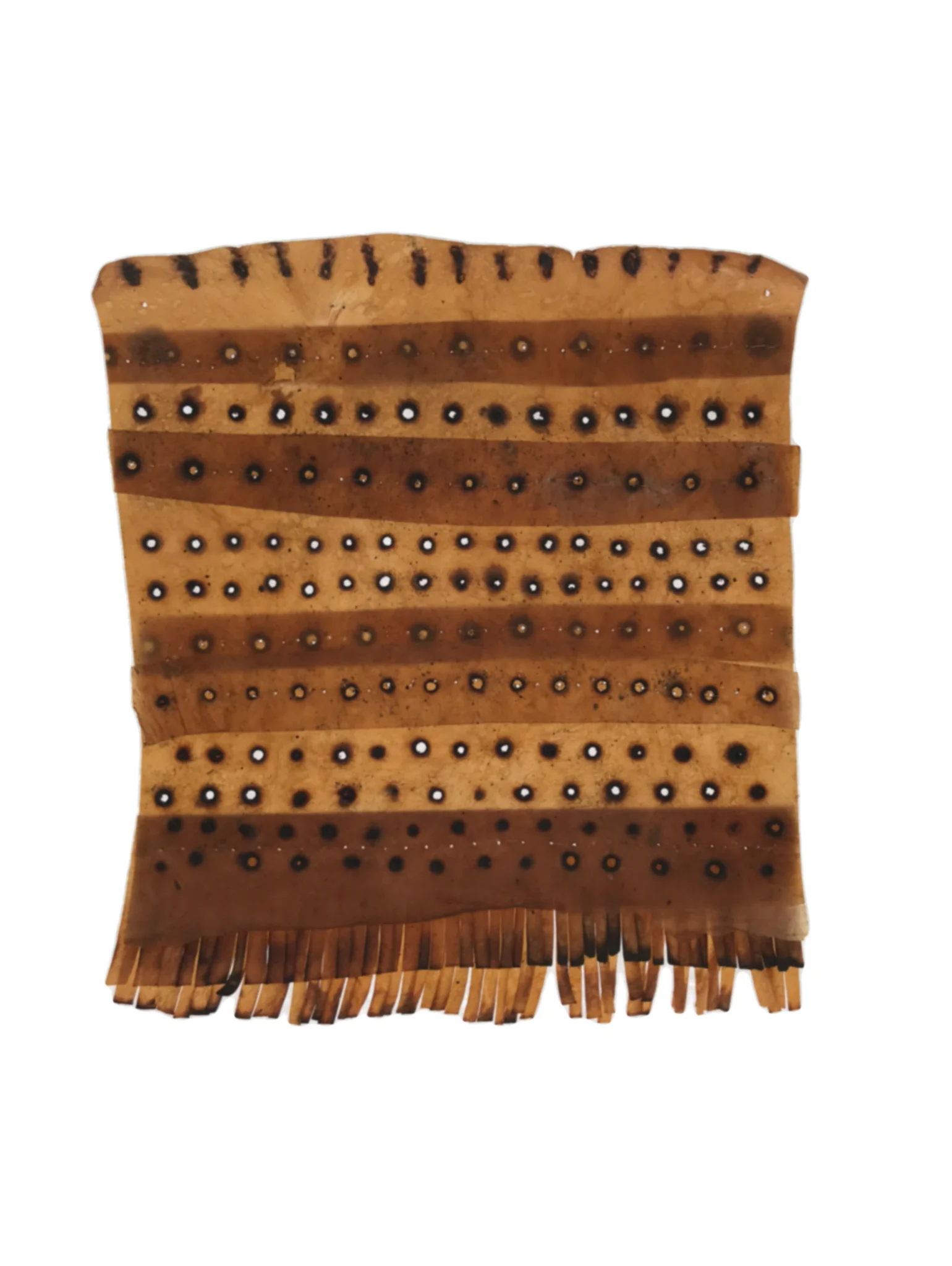 Peters-Kombucha Cloth Sampler-01.jpg