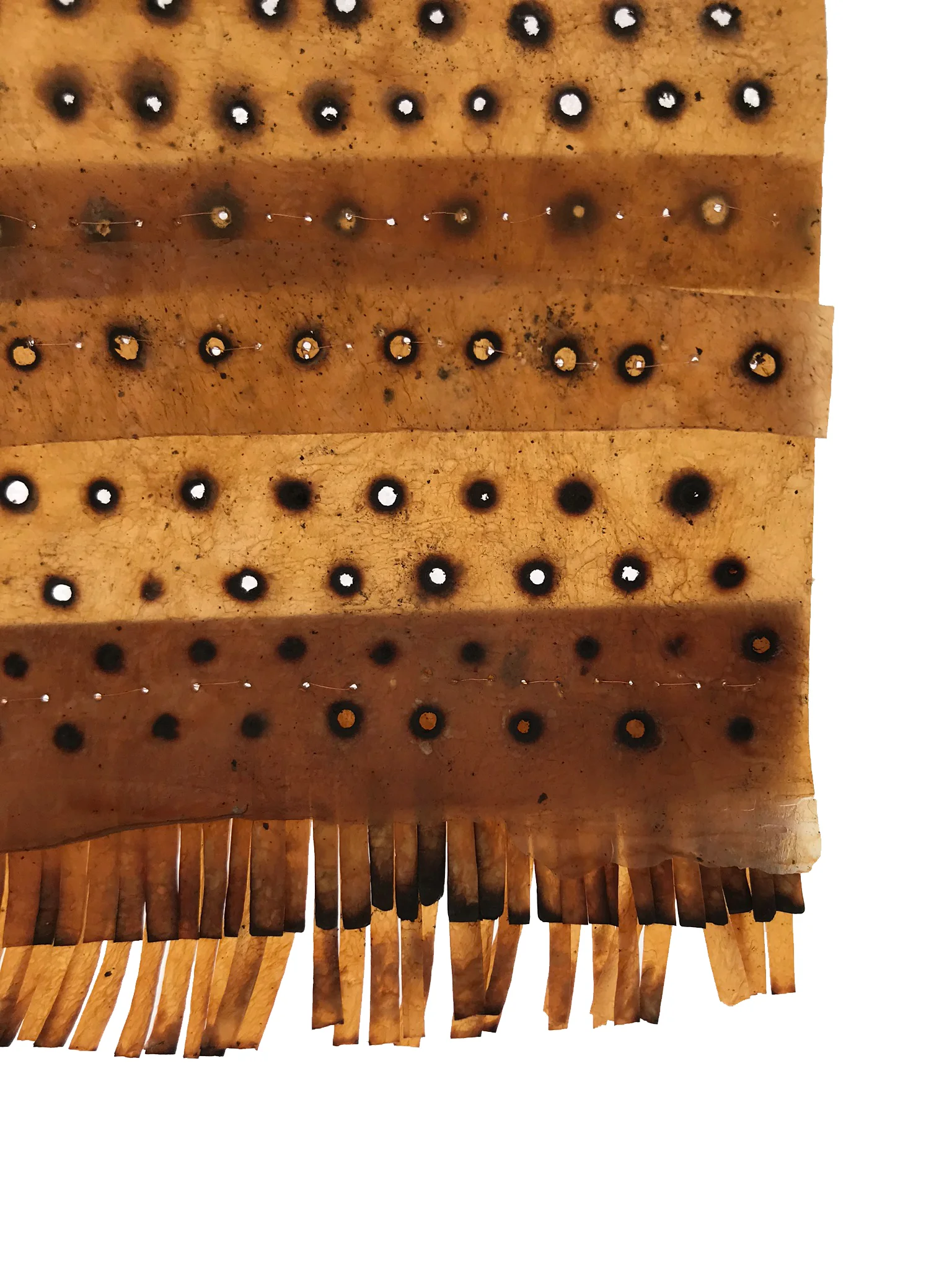 Peters-Kombucha Cloth Sampler-02.jpg