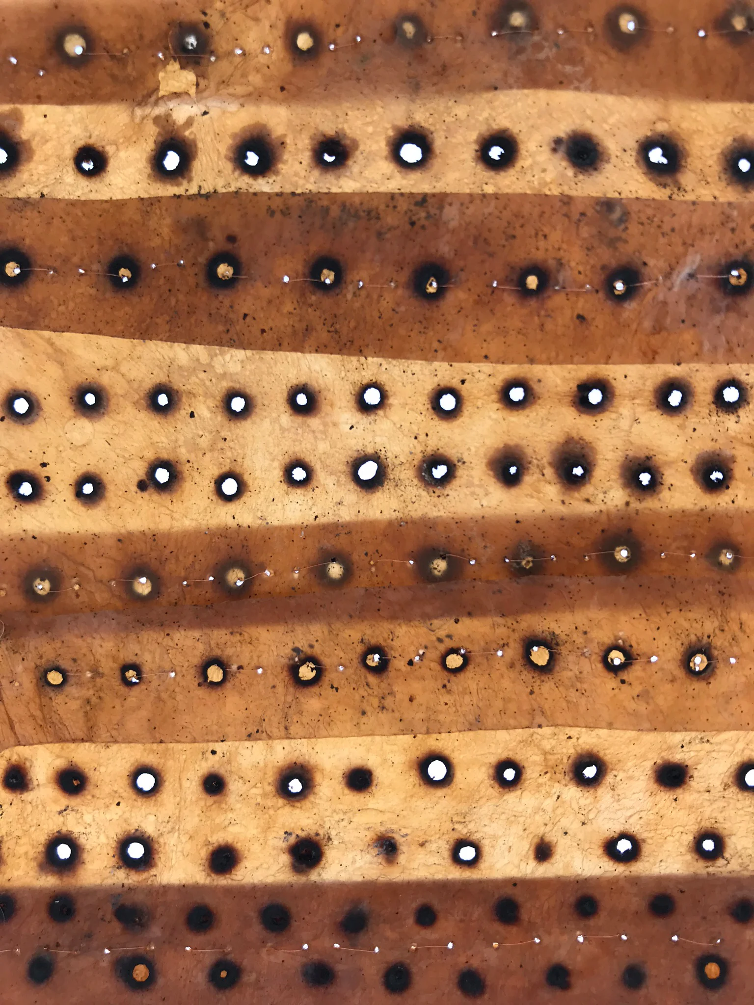 Peters-Kombucha Cloth Sampler-03.jpg