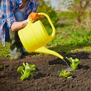 4 post-conference activities that you can’t ignore