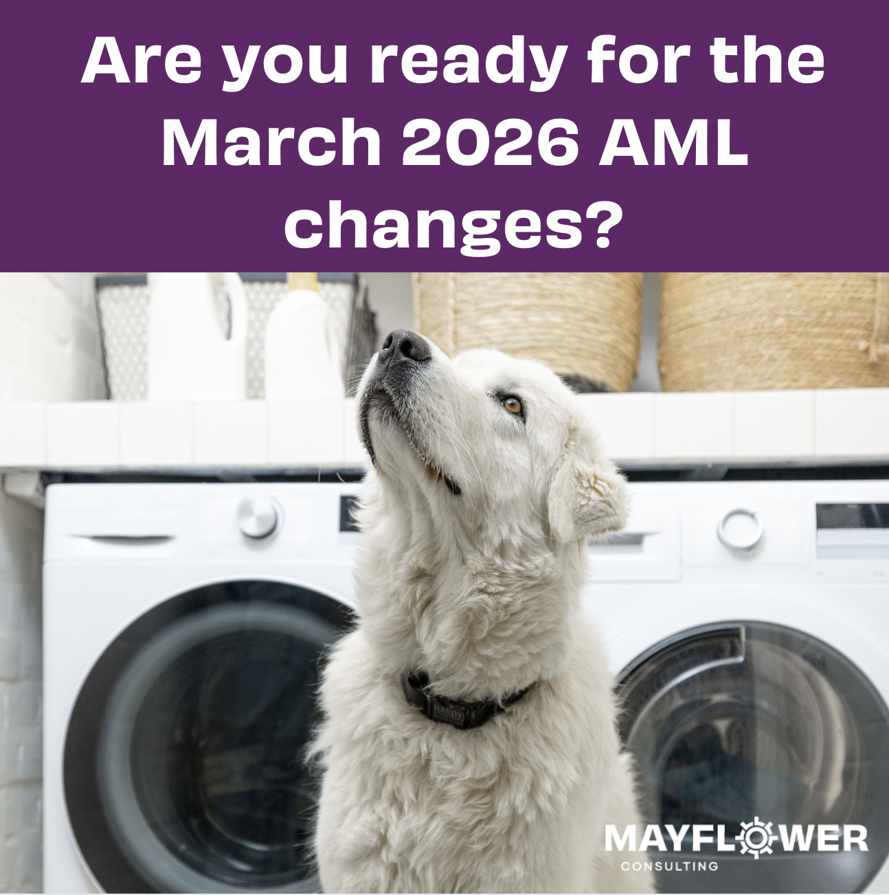 Beyond Compliance: Practical insights for implementing the March 2026 AML/CTF changes