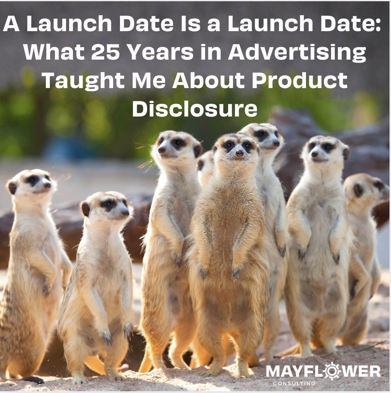 A Launch Date Is a Launch Date: What 25 Years in Advertising Taught Me About Product Disclosure