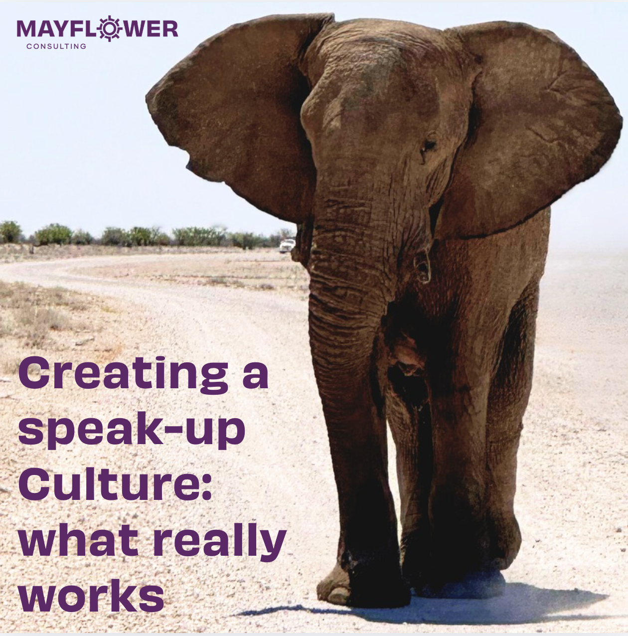 Creating a Speak-Up Culture: What Really Works