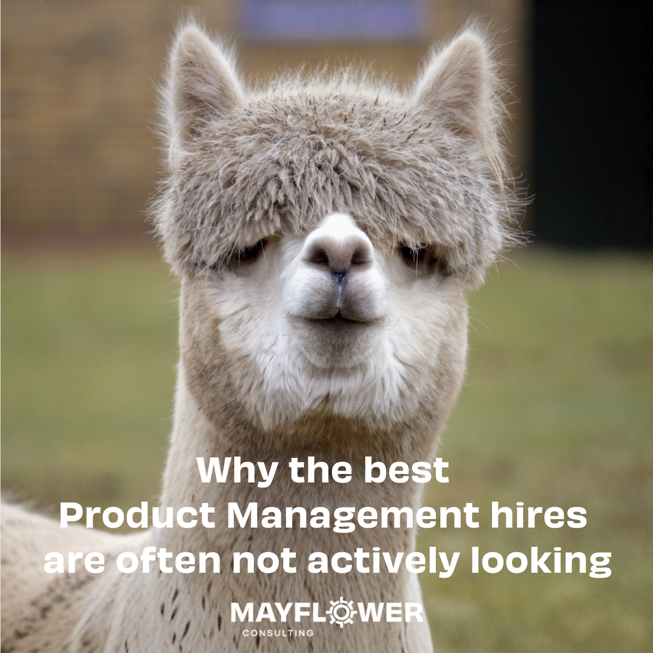 Why the best Product Management hires are often not actively looking