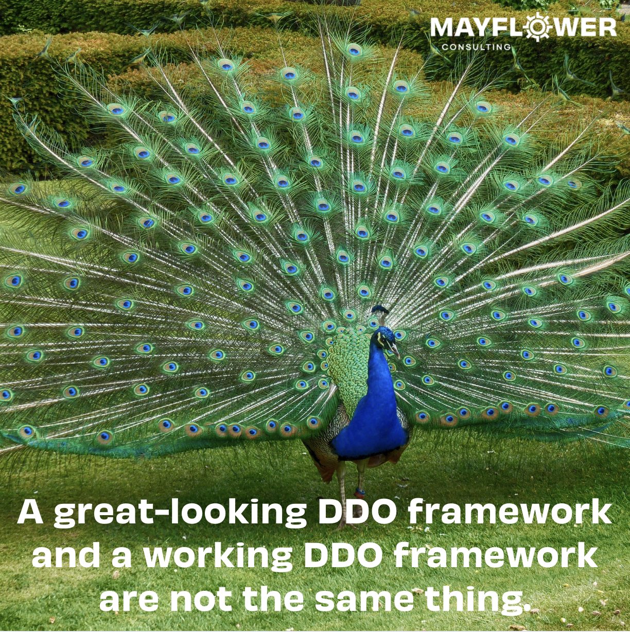DDO Governance and Defensibility: What ASIC is looking for in 2026