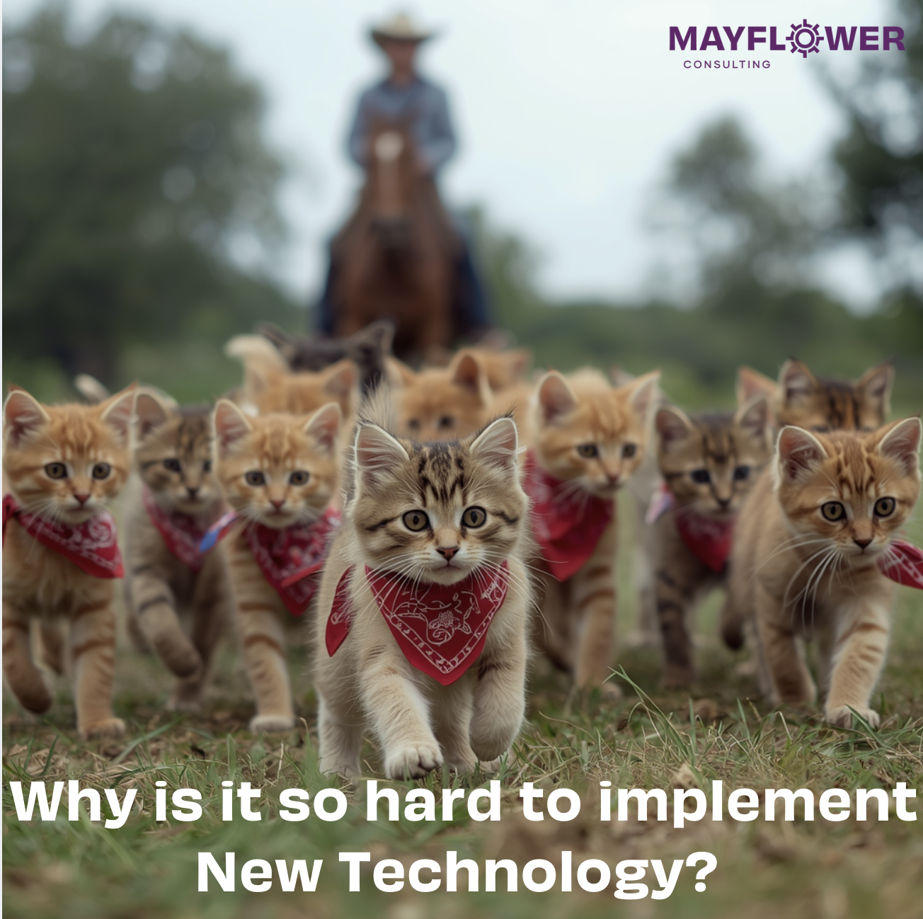 Why is It So Hard to Implement New Technology in a Creative Environment? 