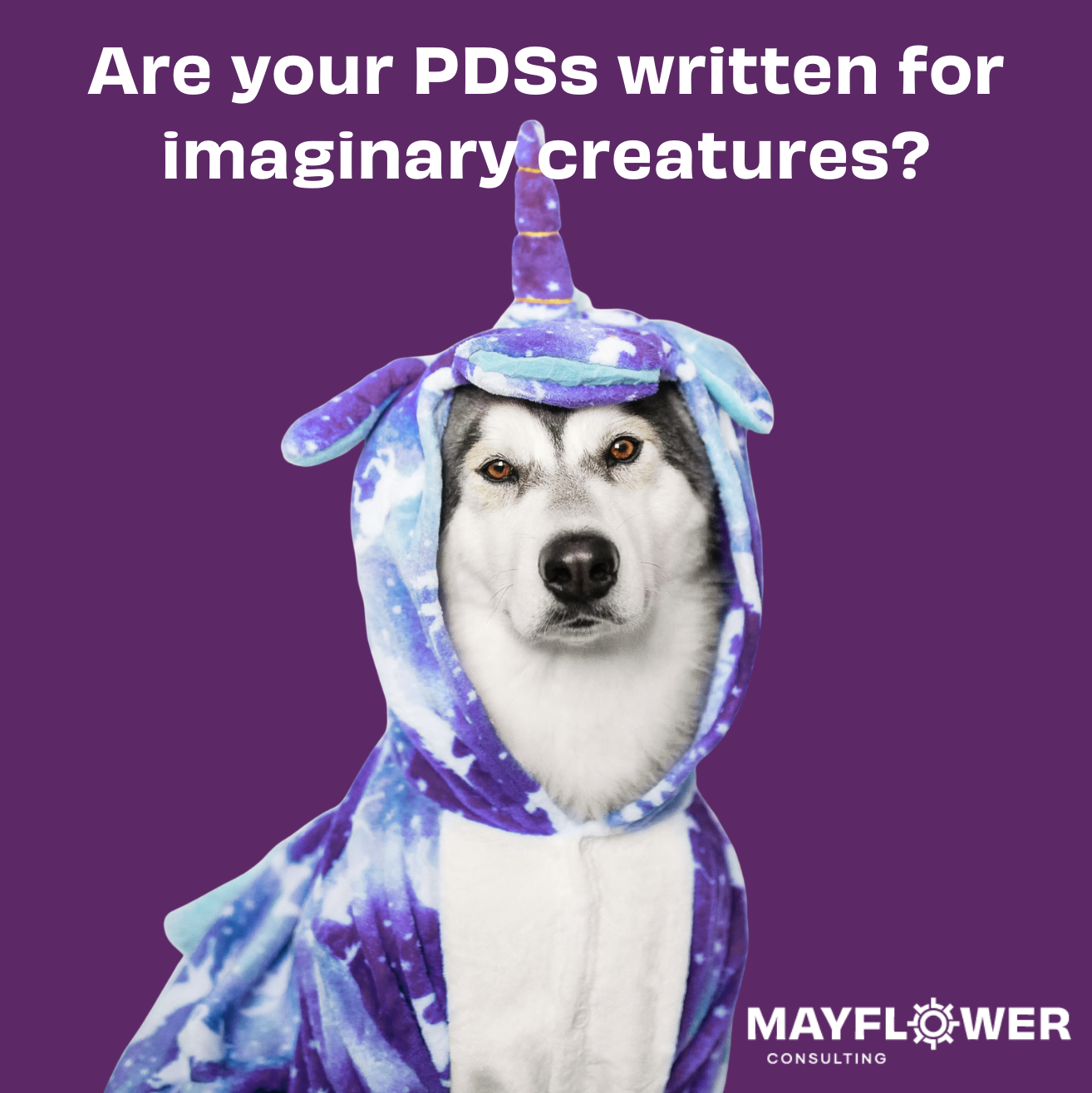 We're writing PDSs for a reader who doesn't exist