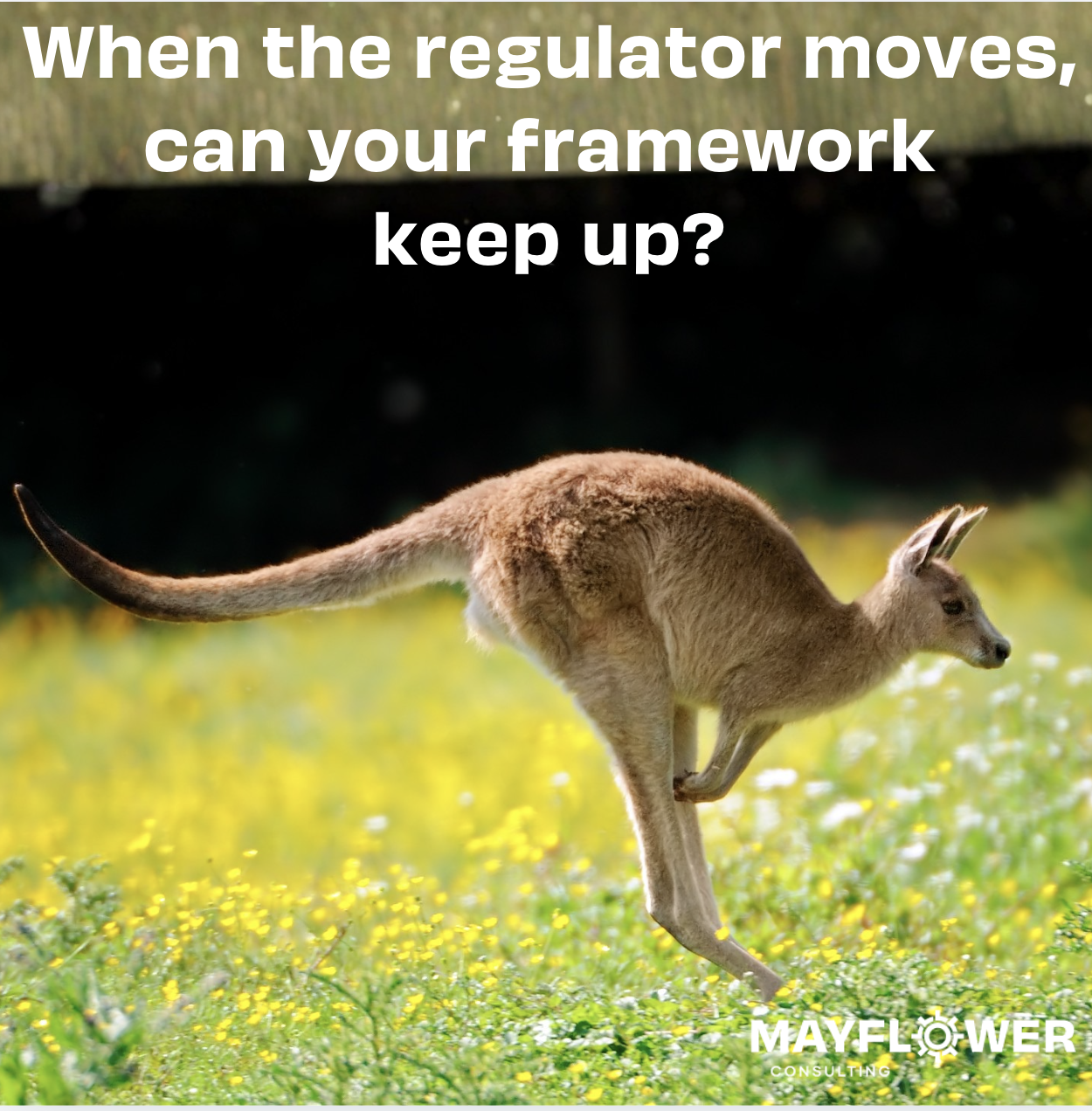 When the regulator moves, your governance framework either flexes or it doesn't
