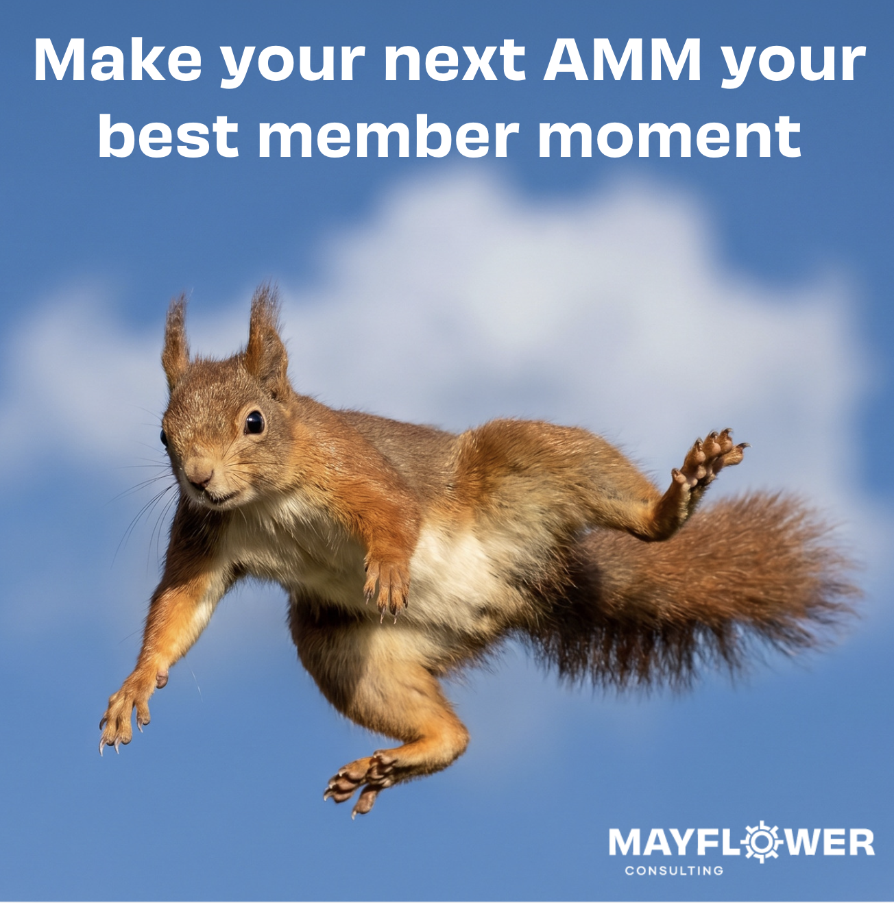From Compliance to Connection: How we can bring your Annual Member Meetings to life!