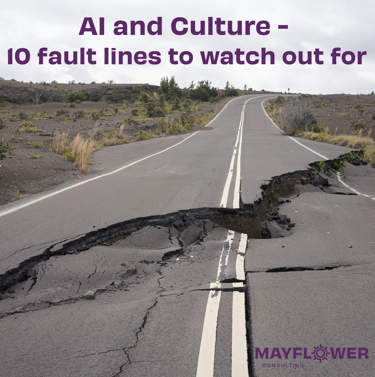 CREW Webinar: AI and Culture – 10 fault lines to watch out for