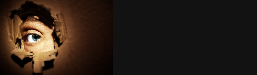 website header pics (850 x 250 px) (1).png