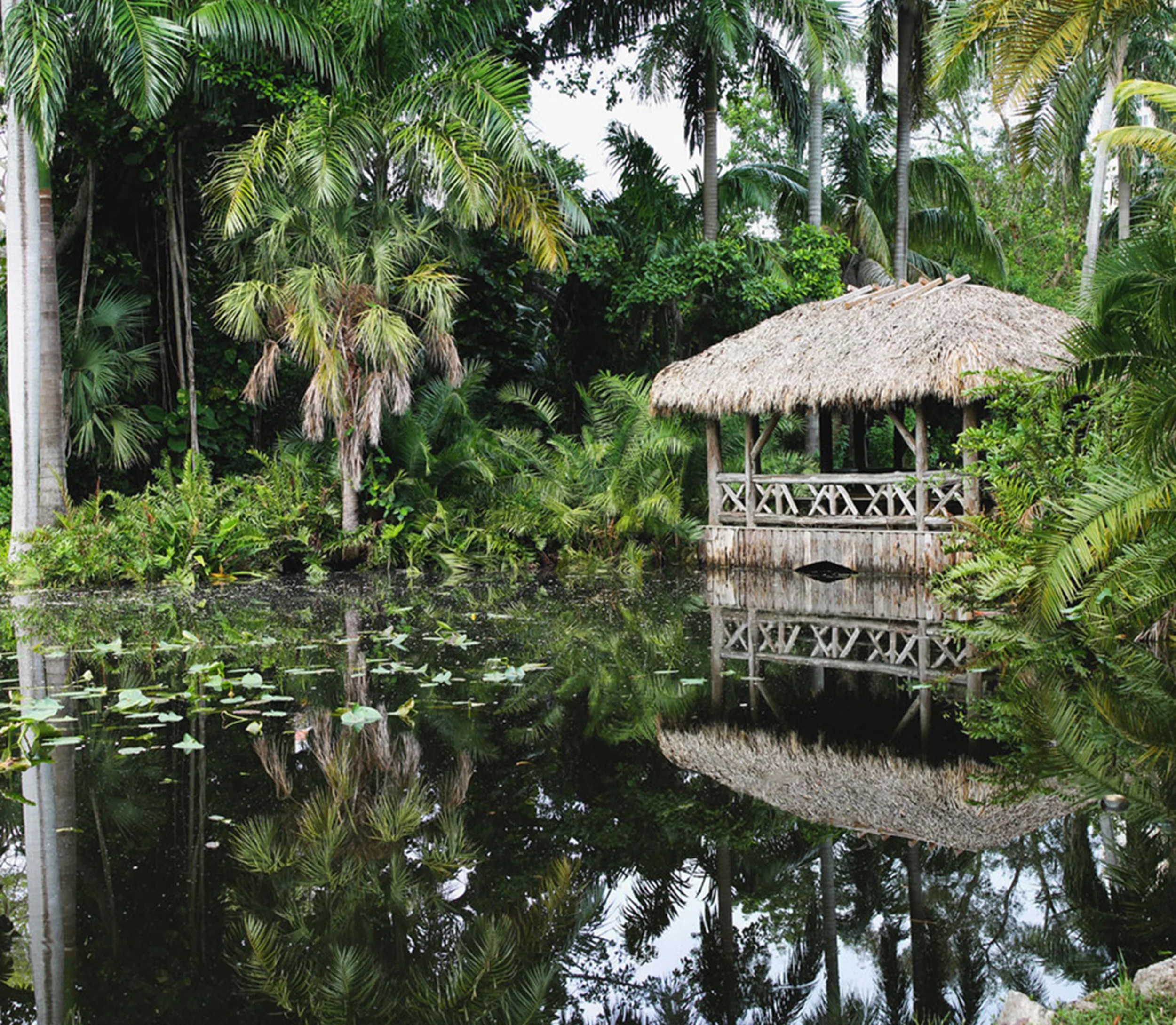 "Chickee Hut" by Alyssa Camacho What inspired me to capture this photograph was the contrast of the foliage and the Chickee Hut, as well as how the picture was reflected in the water and how well the light and dark of the image complemented each other. The way the Chickee Hut appeared to be cocooned by the surrounding plant life gives it a warm and relax feeling. 