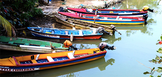 boats_1_orig.jpg