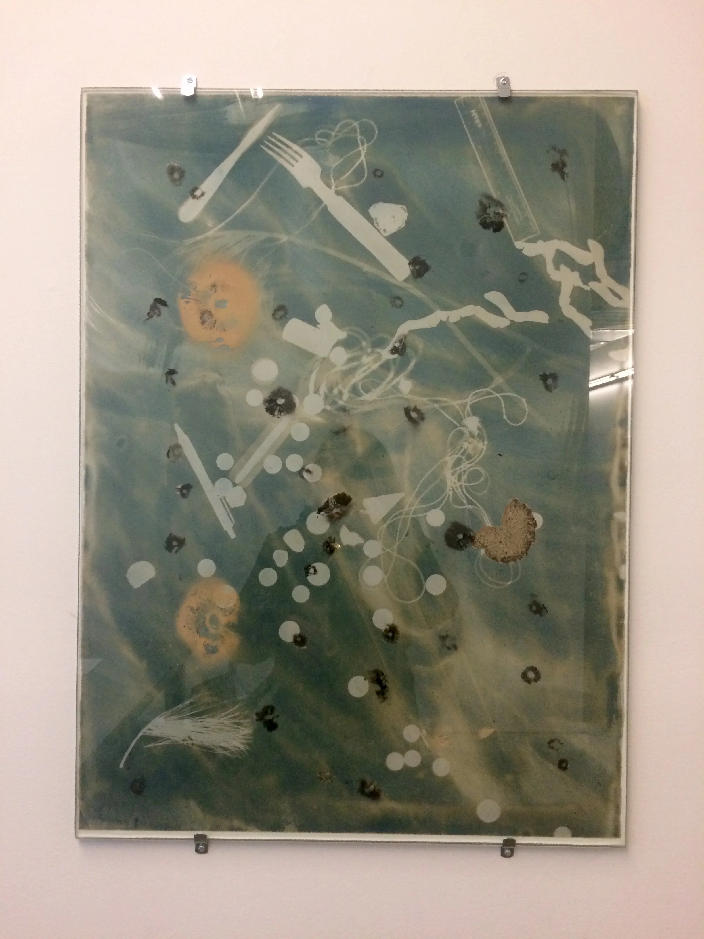 Essye Klempner Sun Stains with Traces of Past Portraits, iv Toned Cyanotype, Glass and Mushroom Spores