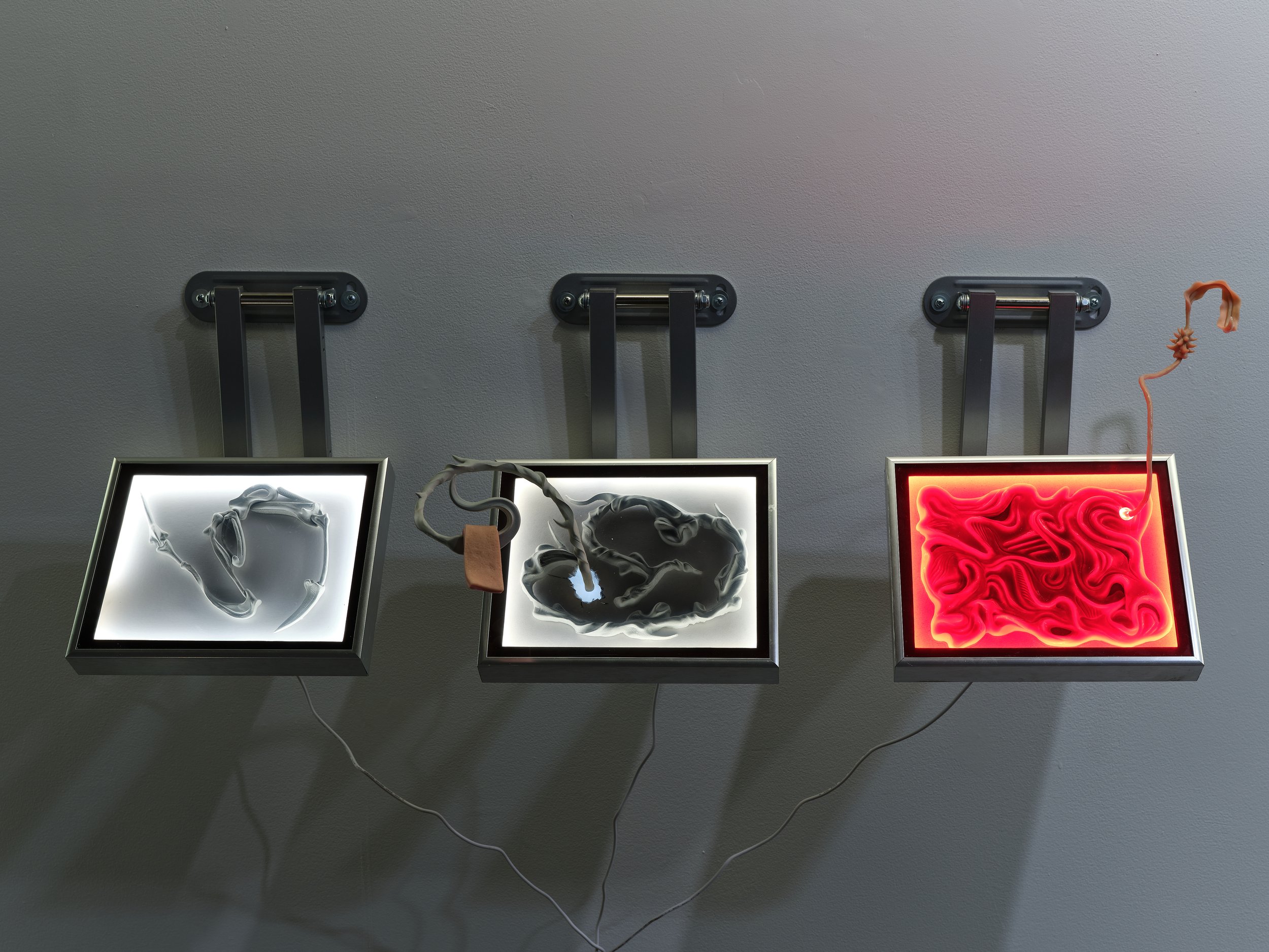 Installation view, Stephen Lau, Display Portion #1, Display Portion #2, Display Portion #3