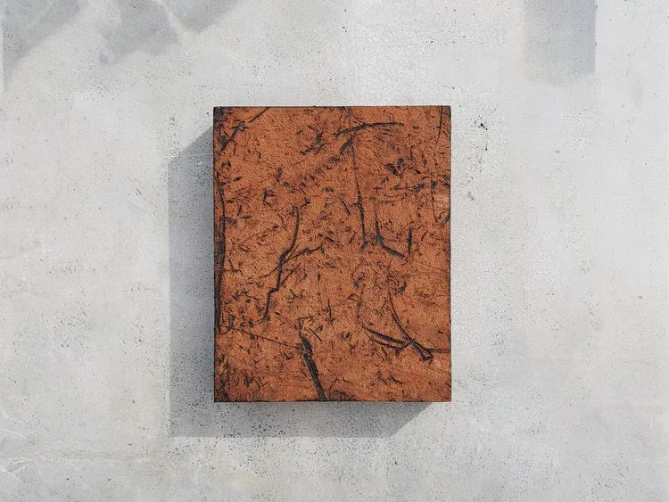 Allen Ball: Forest Lane