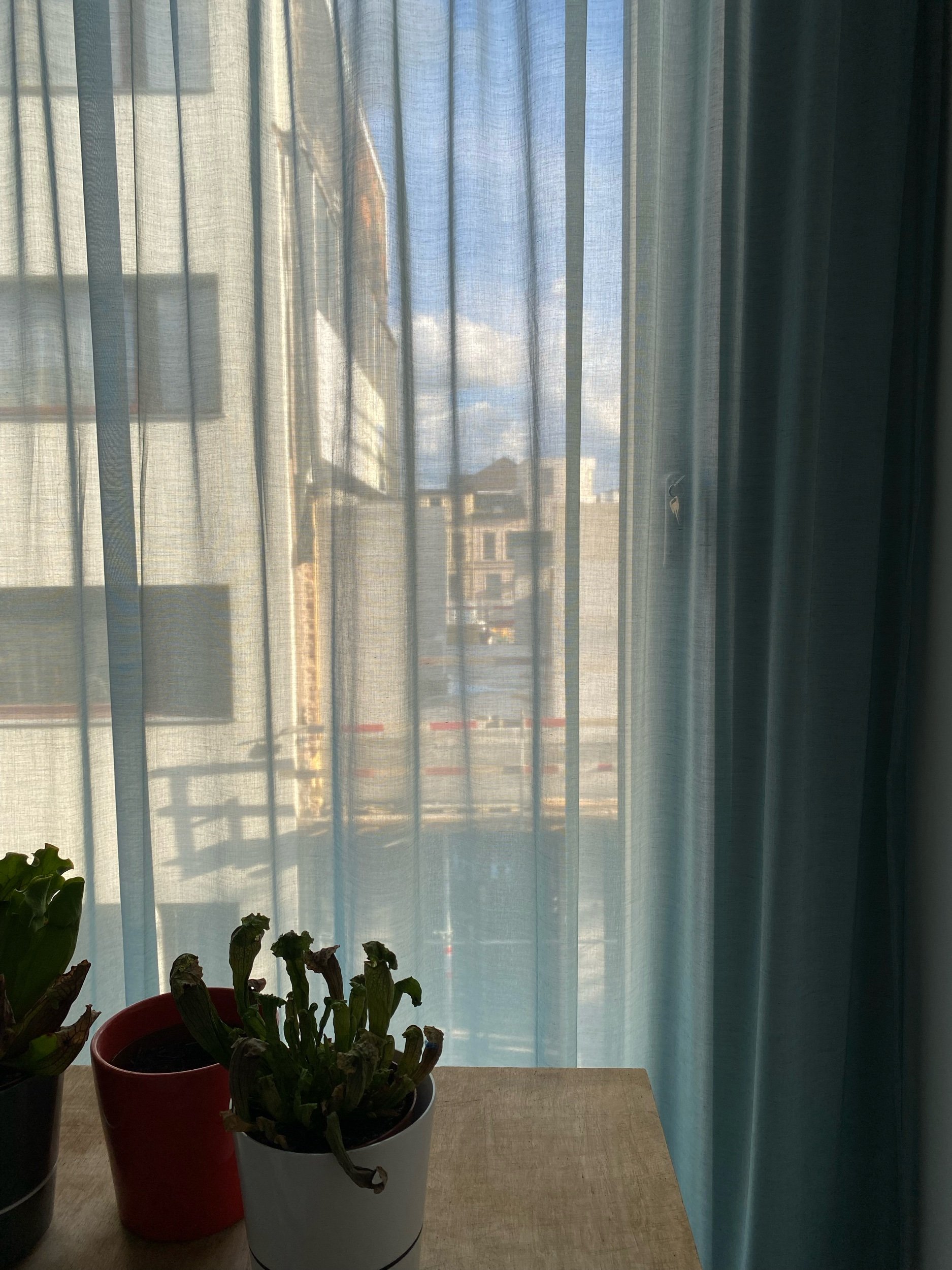 IMG_0760.jpeg