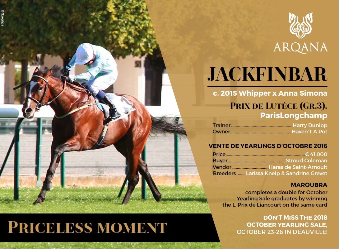 Join Harry at Arqana October sale where he will be looking for another Jackfinbar!