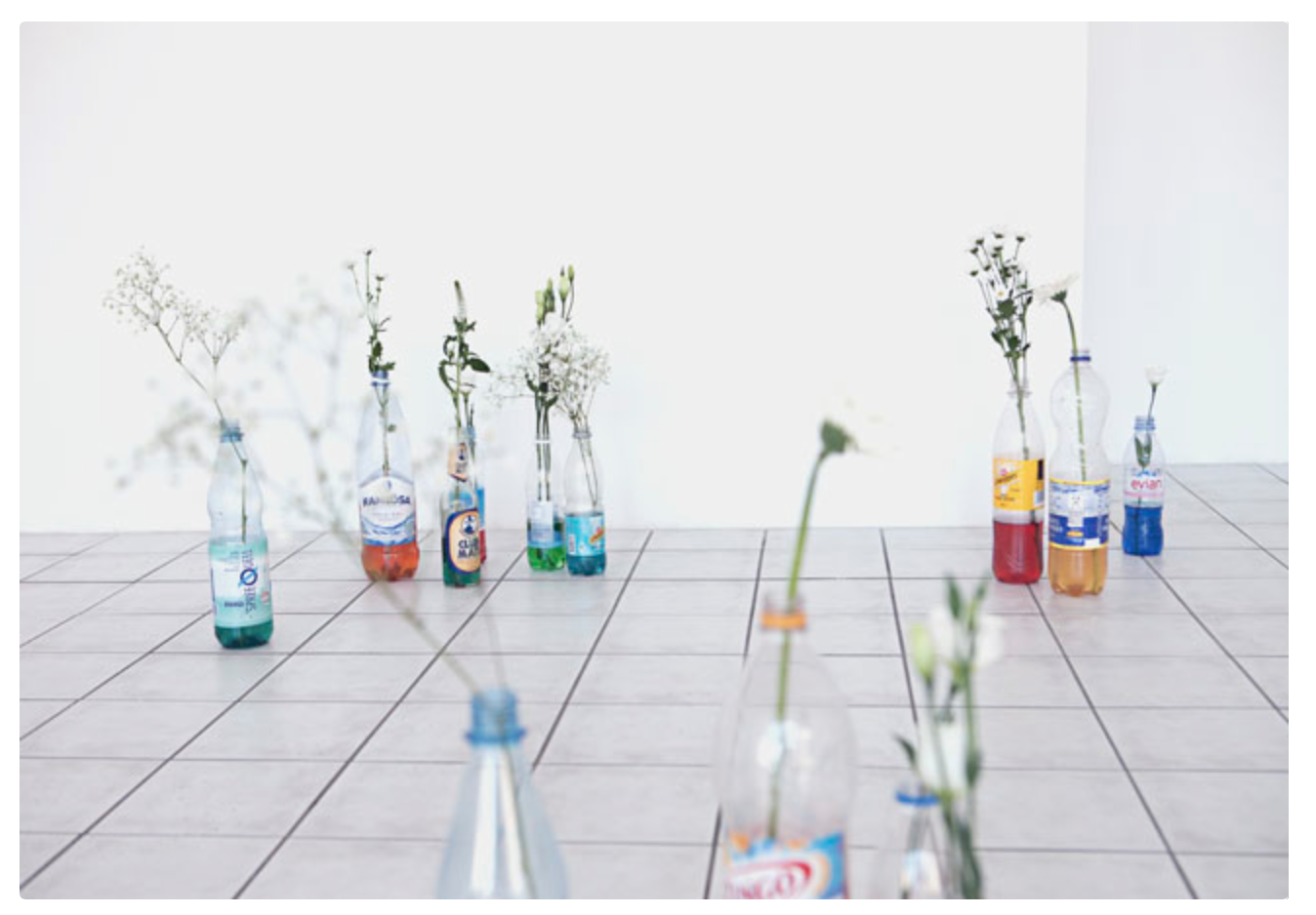 Mia Goyette, Antifreeze (Fortified Flower Vases), 2012-2014