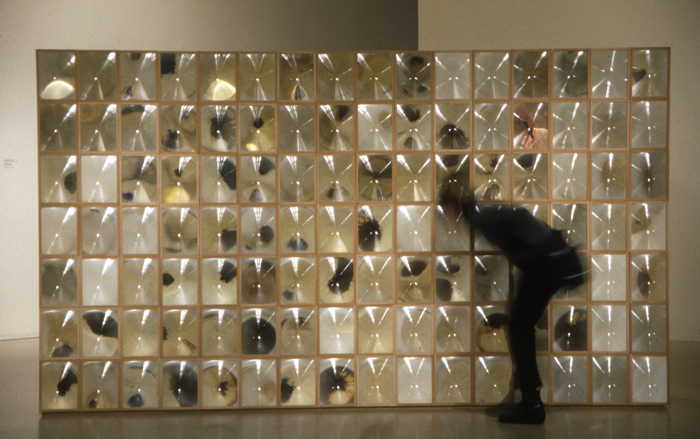 Esperanza Mayobre, Colirio (Eyedrop), Installation view, 2004