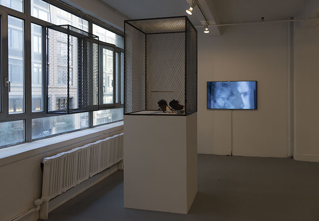  &nbsp;Installation view of  As We Were Saying  
