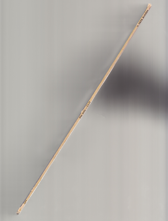 © Meredyth Sparks, The Slits/Cut , 2011. Digital scan mounted to Sintra, 43 x 32.5 inches