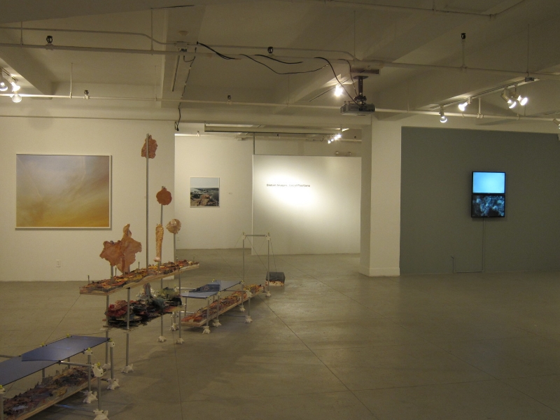  Installation view of  Distant Images, Local Positions  