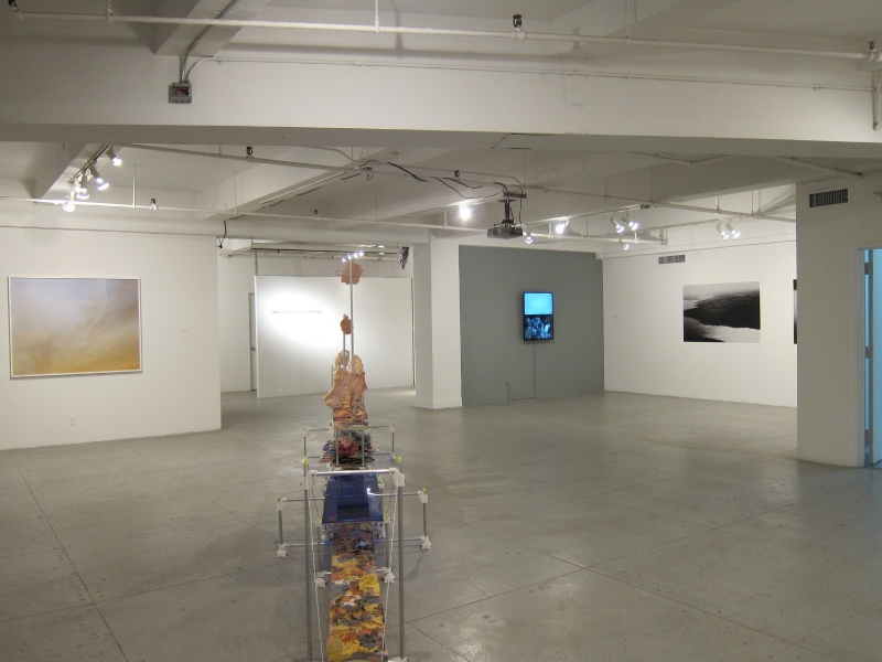  Installation View of  Distant Images, Local Positions  